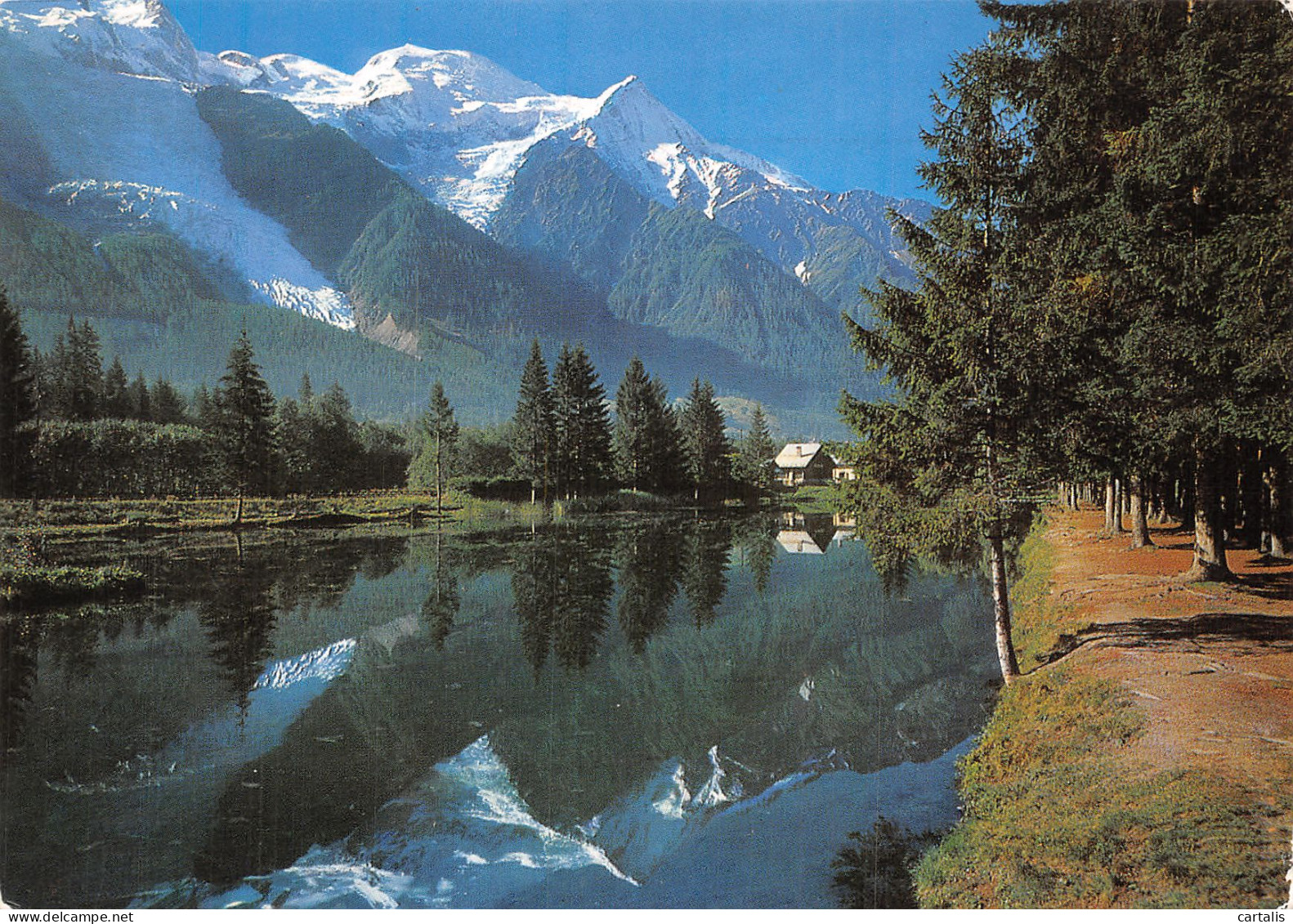 74-LE MONT BLANC-N°4202-C/0203 - Other & Unclassified