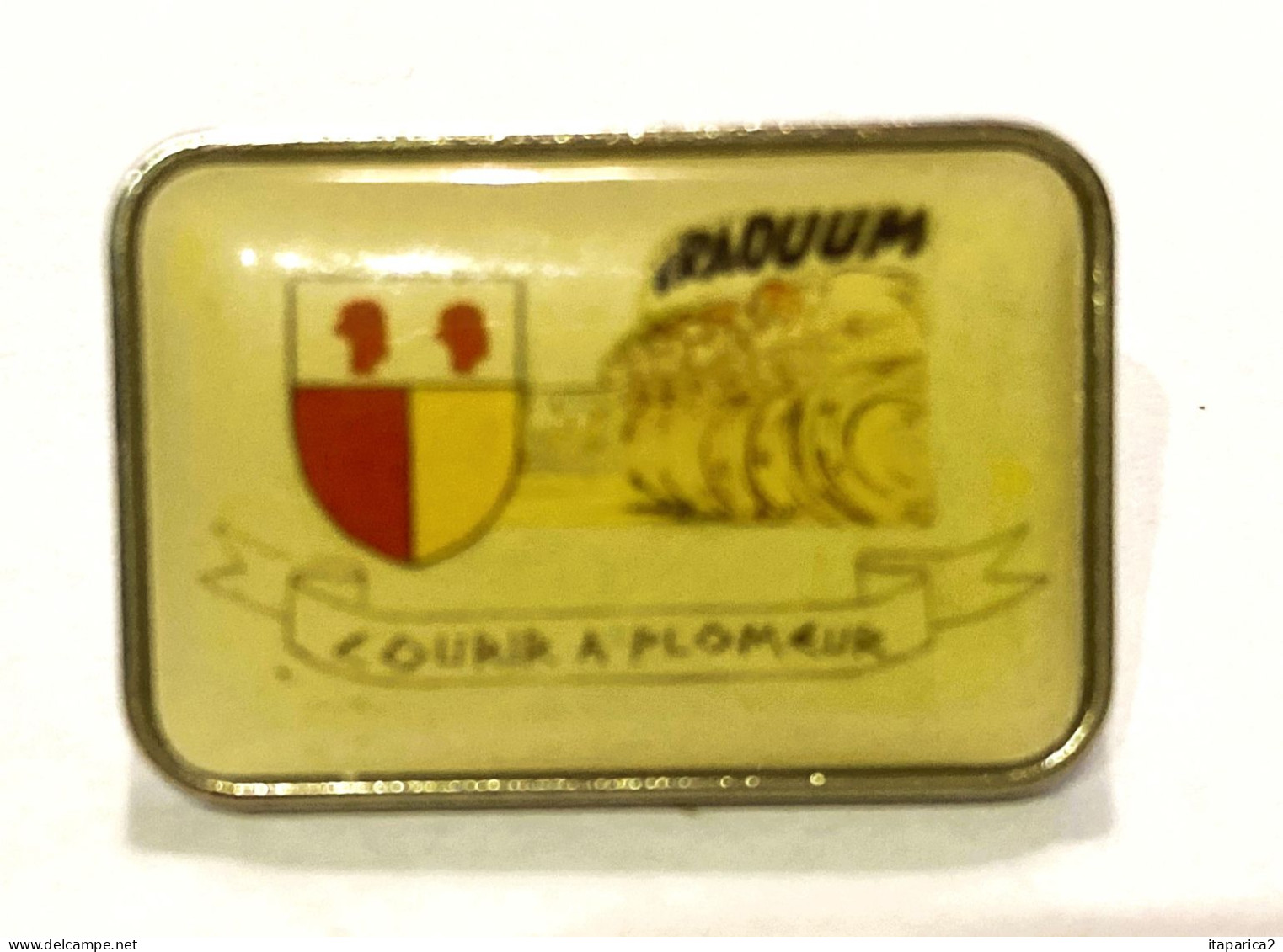 PINS SPORTS ATHLETISME COURIR A PLOMEUR 29 FINISTERE BLASON / 33NAT - Atletiek