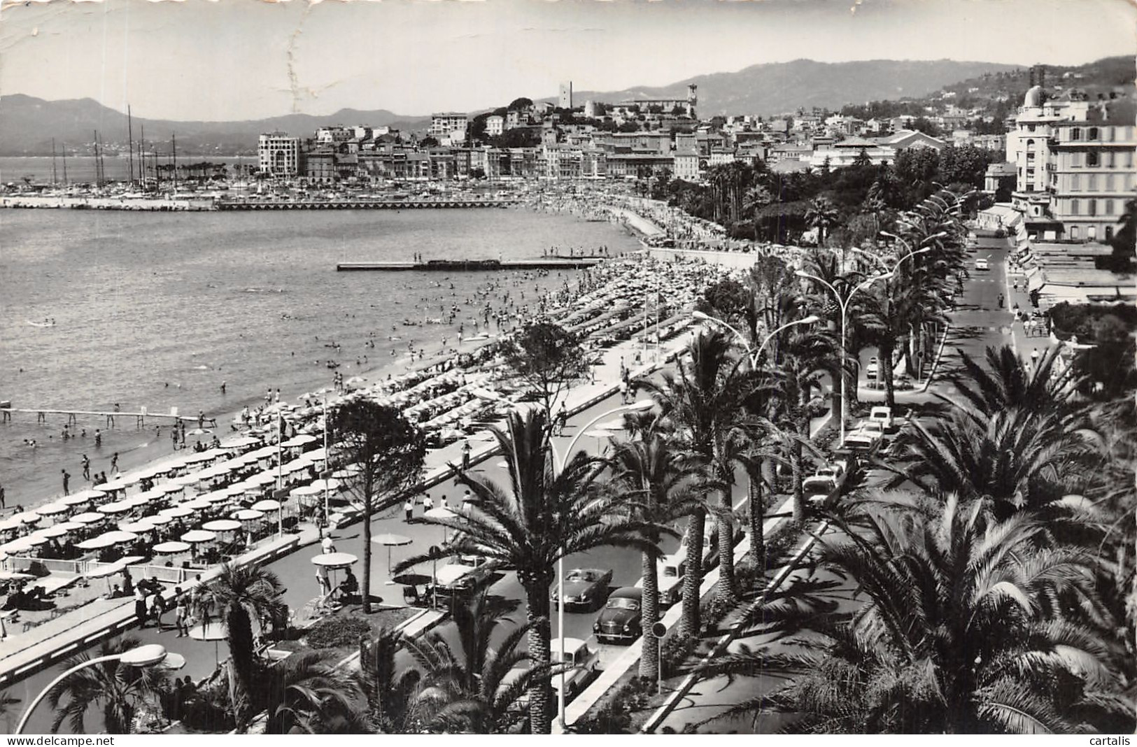 06-CANNES-N°4202-E/0381 - Cannes