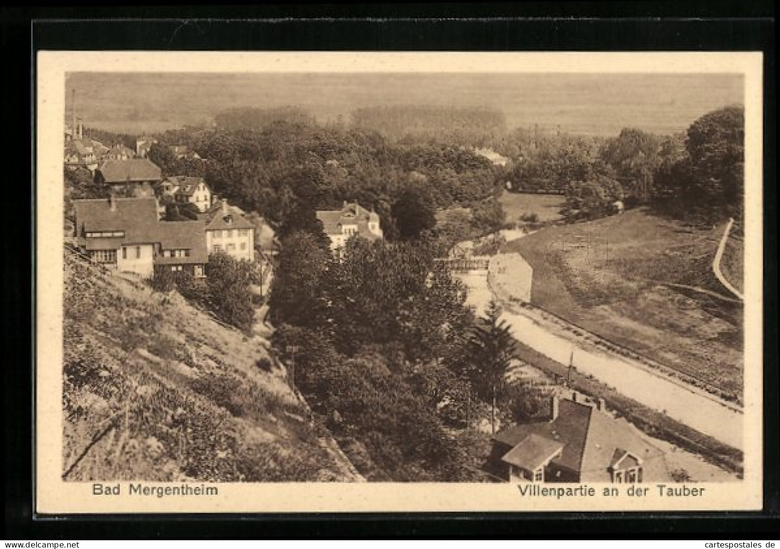 AK Bad Mergentheim, Villenpartie An Der Tauber  - Bad Mergentheim