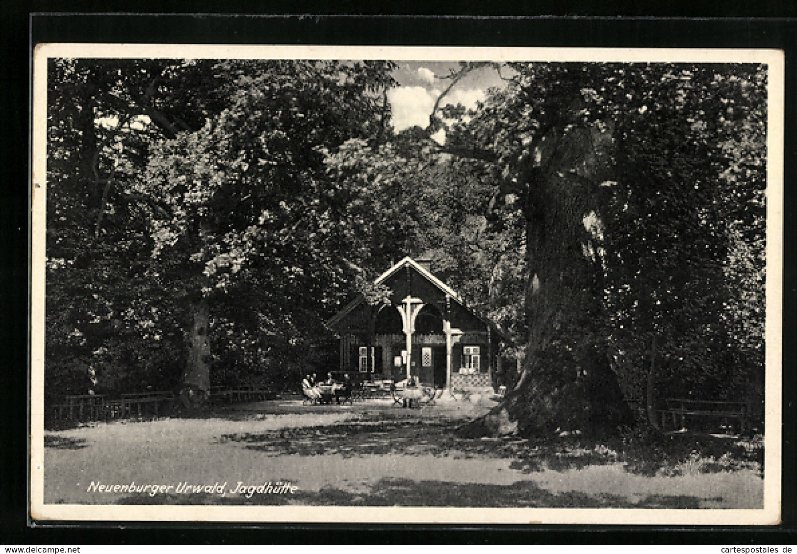 AK Neuenburg /Oldenburg, Neuenburger Urwald, Jagdhütte  - Oldenburg