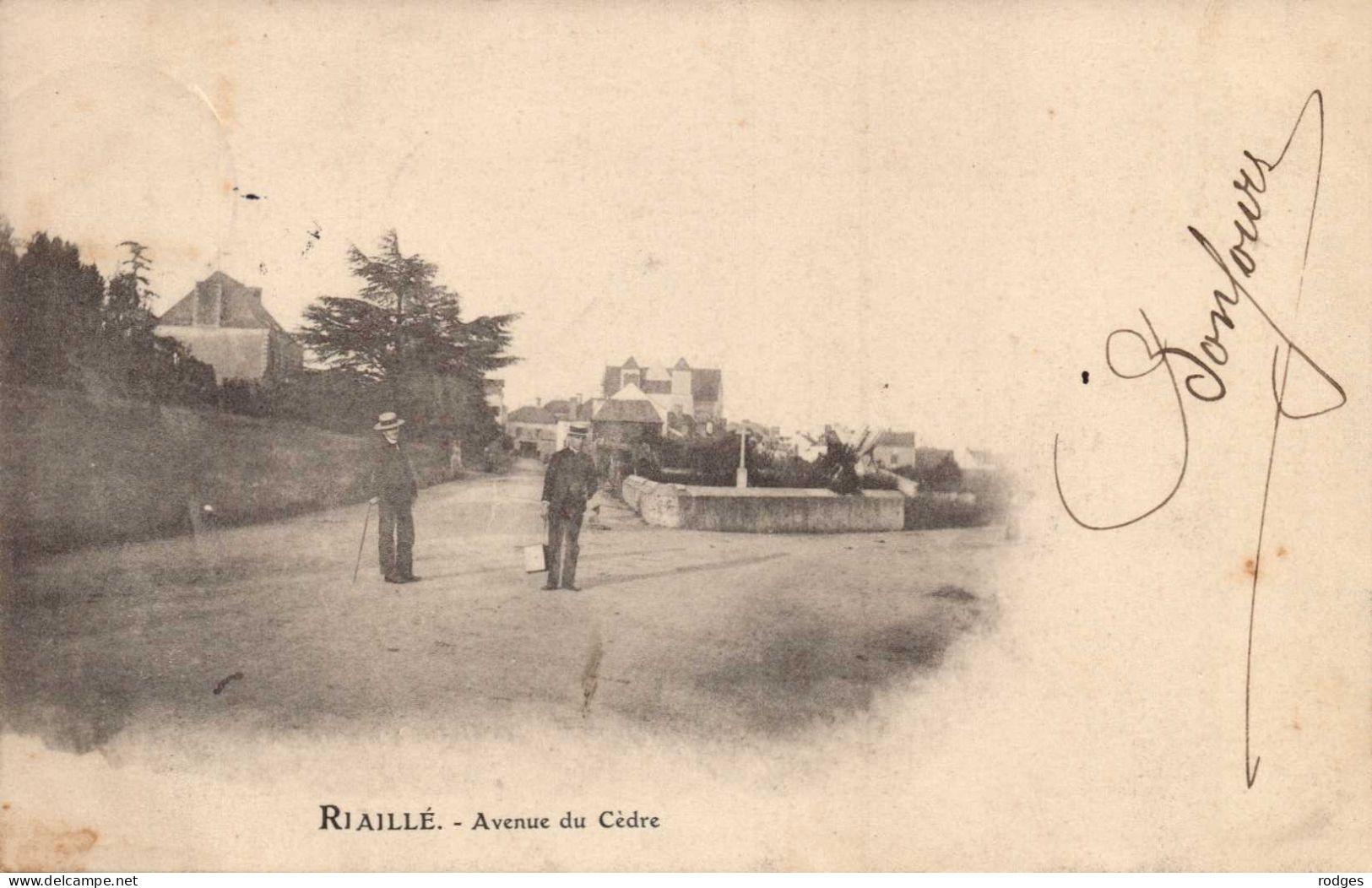 44 , Cpa  RIAILLE , Avenue Du Cèdre  (15077.V.24) - Other & Unclassified