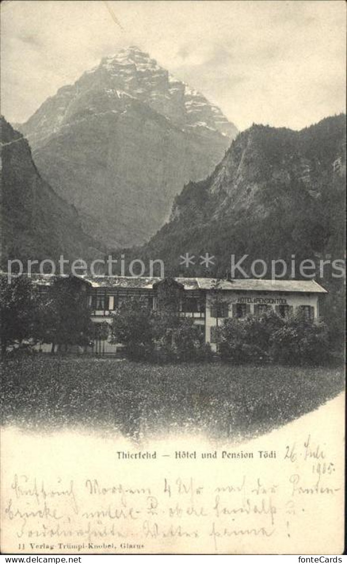 12058899 Tierfehd Linthal Glarus Hotel Und Pension Toedi Tierfehd Linthal Glarus - Otros & Sin Clasificación