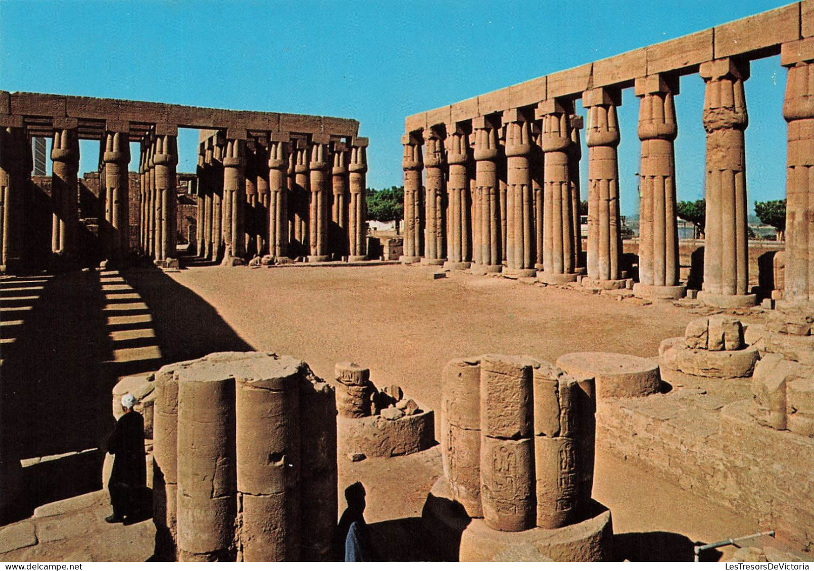 EGYPTE - Louxor - Colonnes En Forme De Papyrus Au Temple De Luxor - Colorisé - Carte Postale - Louxor