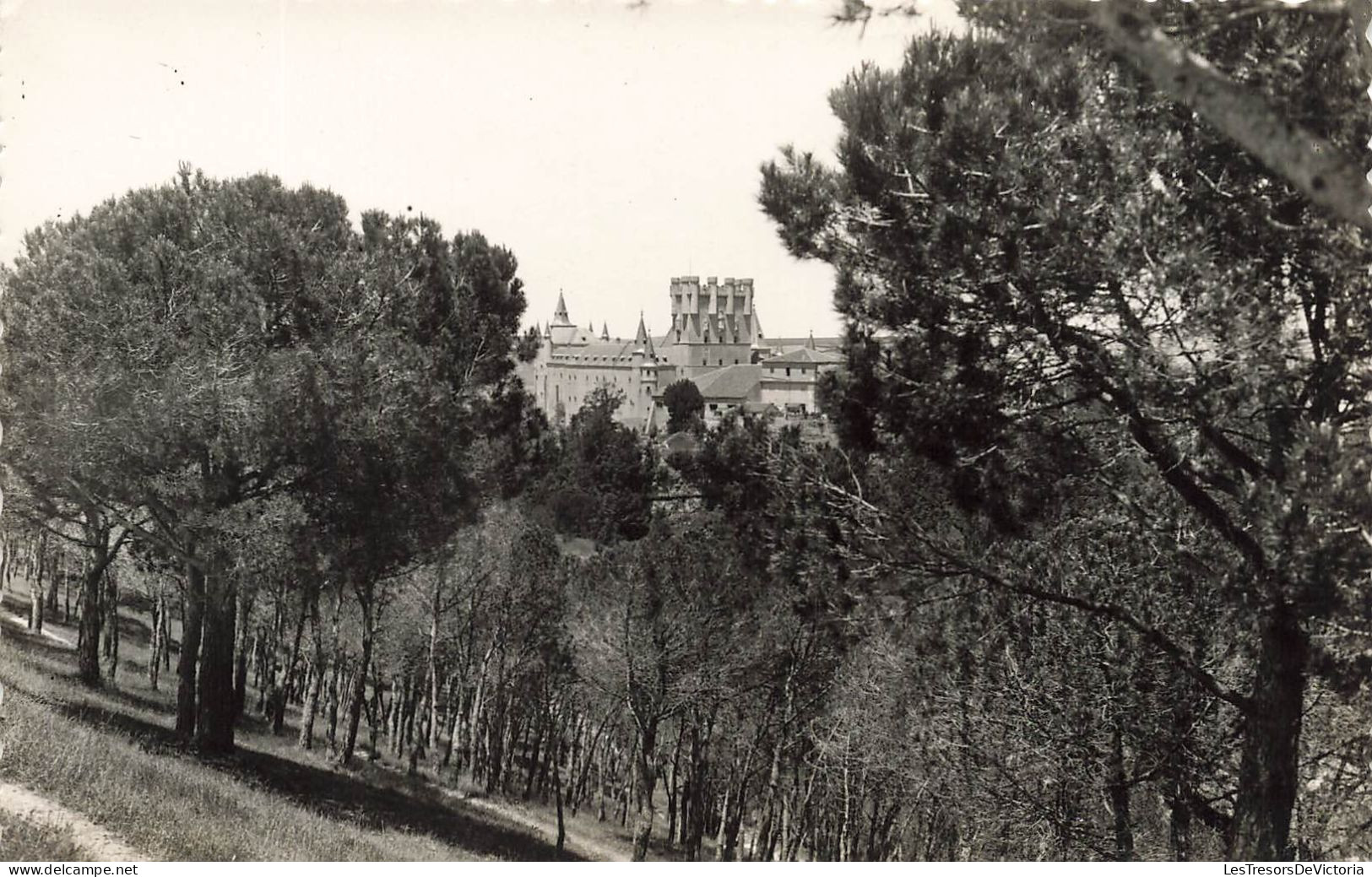 ESPAGNE - Sevogia - El Alcazar Visto Desde El Pinar - Carte Postale - Segovia