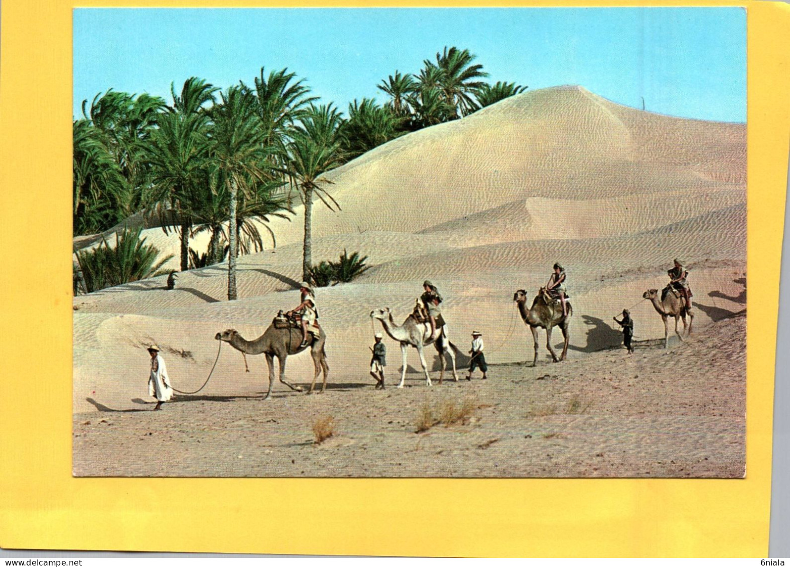 TUNISIE Caravane Du Sahara   ( 21648 ) - Tunisia