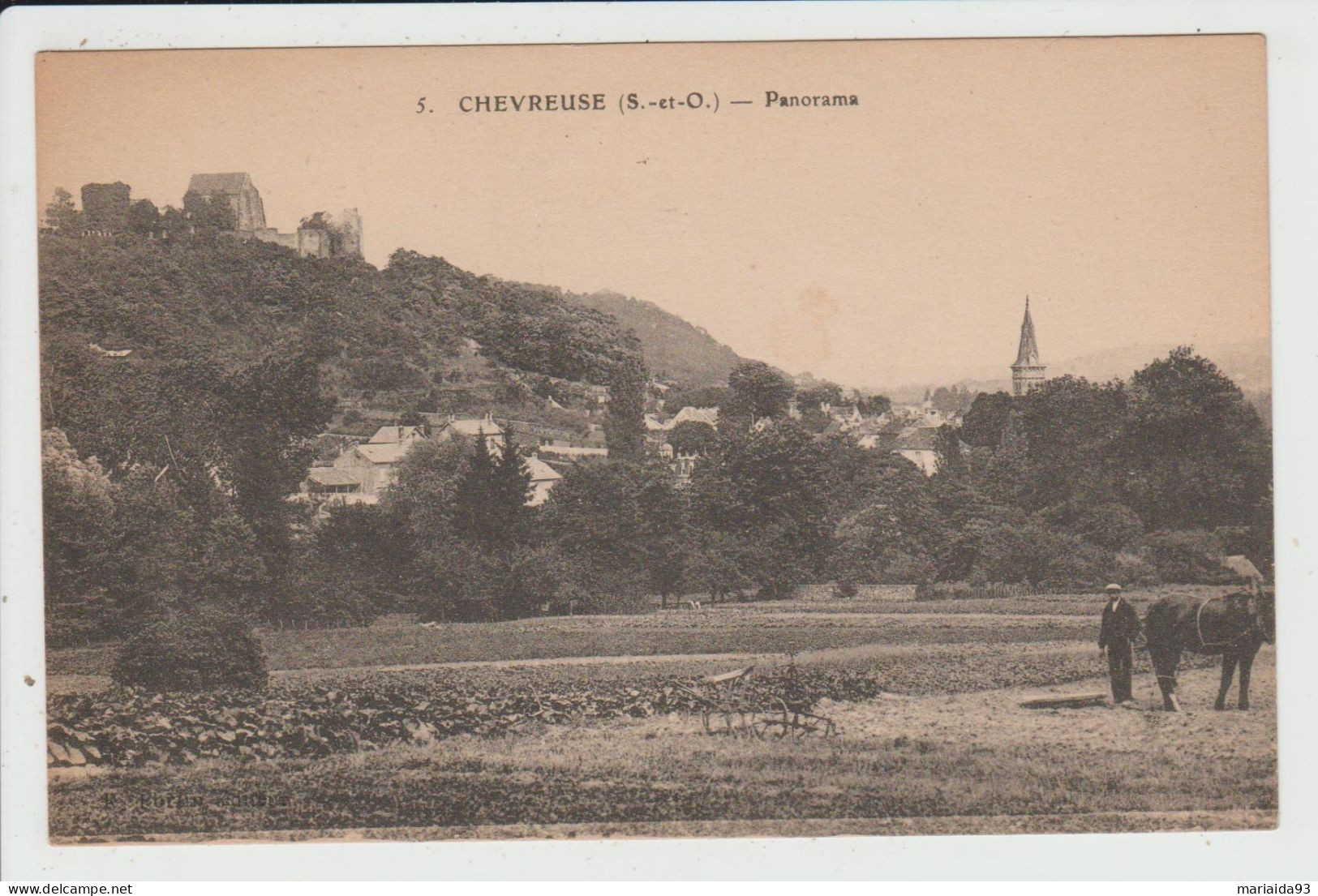 CHEVREUSE - YVELINES - PANORAMA - Chevreuse