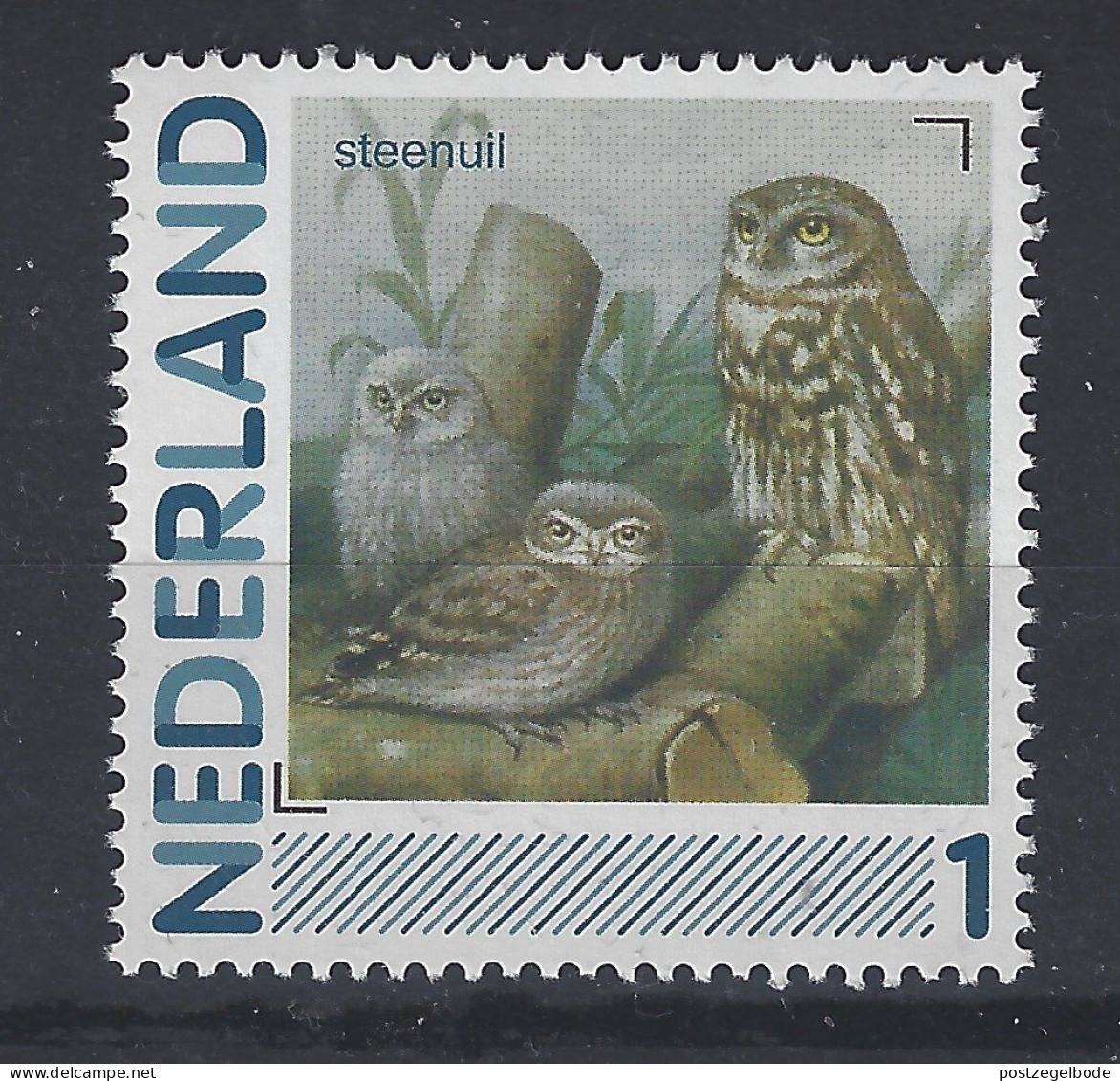 Netherlands Nederland Niederlande Holanda Pays Bas MNH Steen Uil Hibou Chouette Owl Eule Gufo Buho Vogel Bird Oiseau Ave - Gufi E Civette