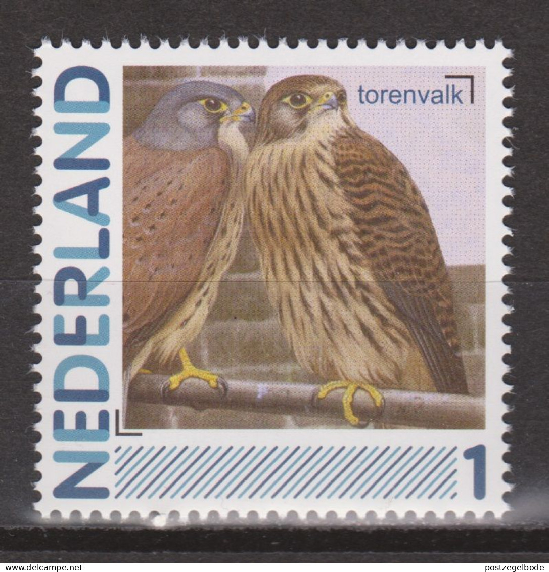 Nederland Netherlands Pays Bas MNH Roofvogel Oiseau De Proie Ave De Rapina Bird Of Prey Falcon Faucon Cerricalo Valk - Aigles & Rapaces Diurnes