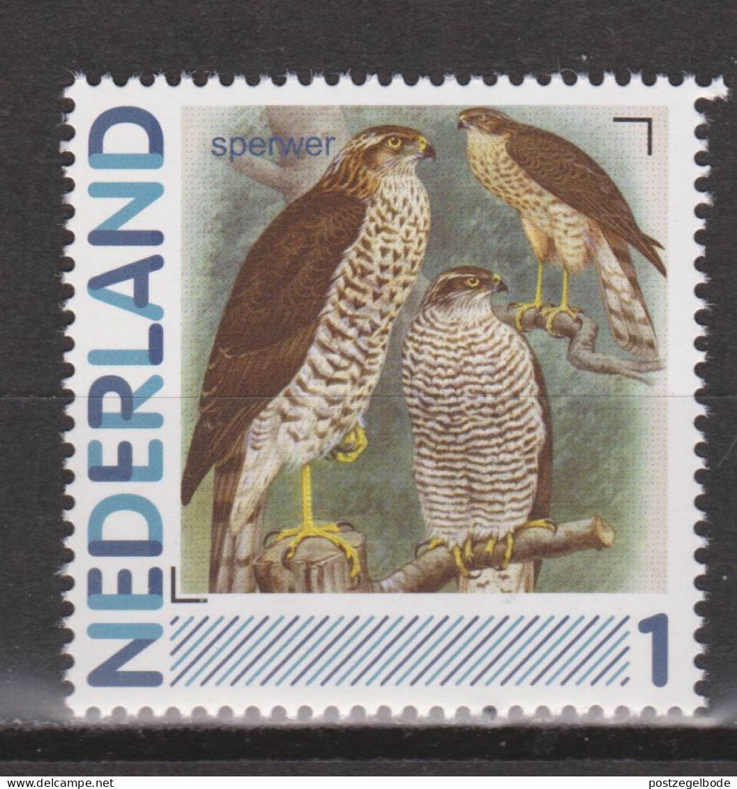 Nederland Netherlands Pays Bas MNH Roofvogel Oiseau De Proie Ave De Rapina Bird Of Prey Sperwer Sparrowhawk Epervier - Águilas & Aves De Presa