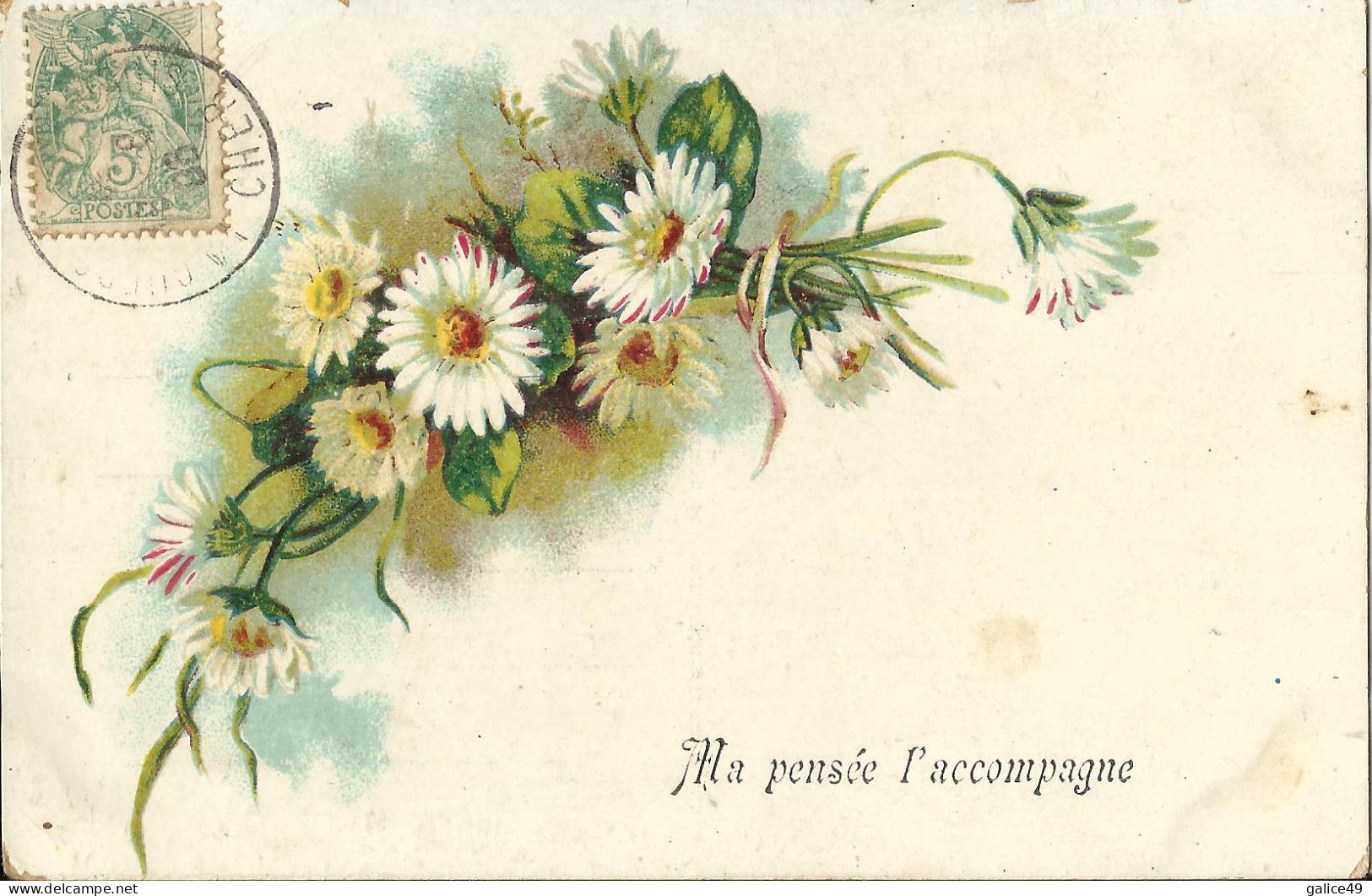 2736 Bouquet De Marguerites - Other & Unclassified