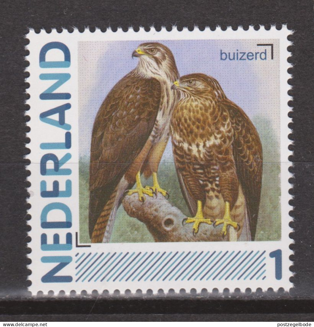 Nederland Netherlands Pays Bas MNH Roofvogel Oiseau De Proie Ave De Rapina Bird Of Prey Buizerd Buzzard Buse Ratonero - Arends & Roofvogels