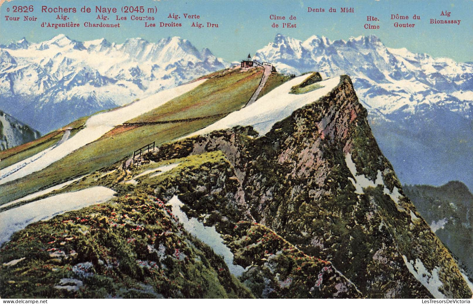 SUISSE - Rochers De Naye (2045m) - Tour Noir Aig - Aig Les Courbes - Aig Vert - Carte Postale - Altri & Non Classificati