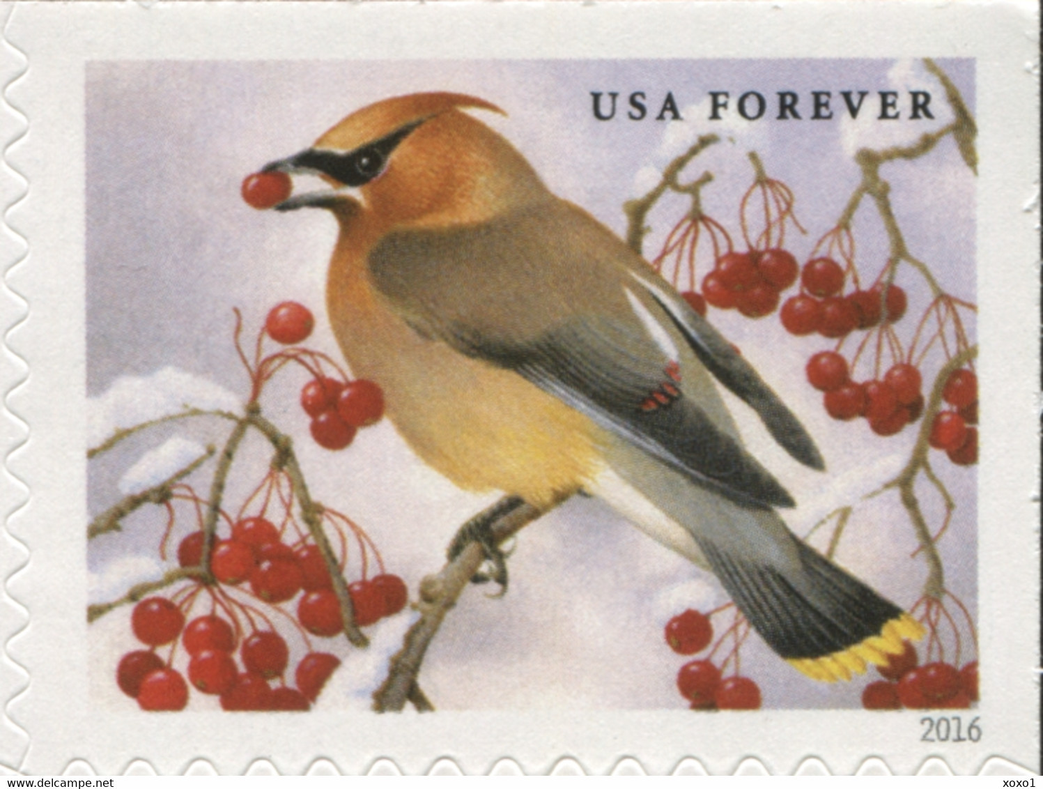 USA 2016 MiNr. 5320 - 5323 USA 2016 MiNr. 5320 - 5323 Etats-Unis United States Birds Songbirds In Snow  4v MNH** 5,00 € - Andere & Zonder Classificatie