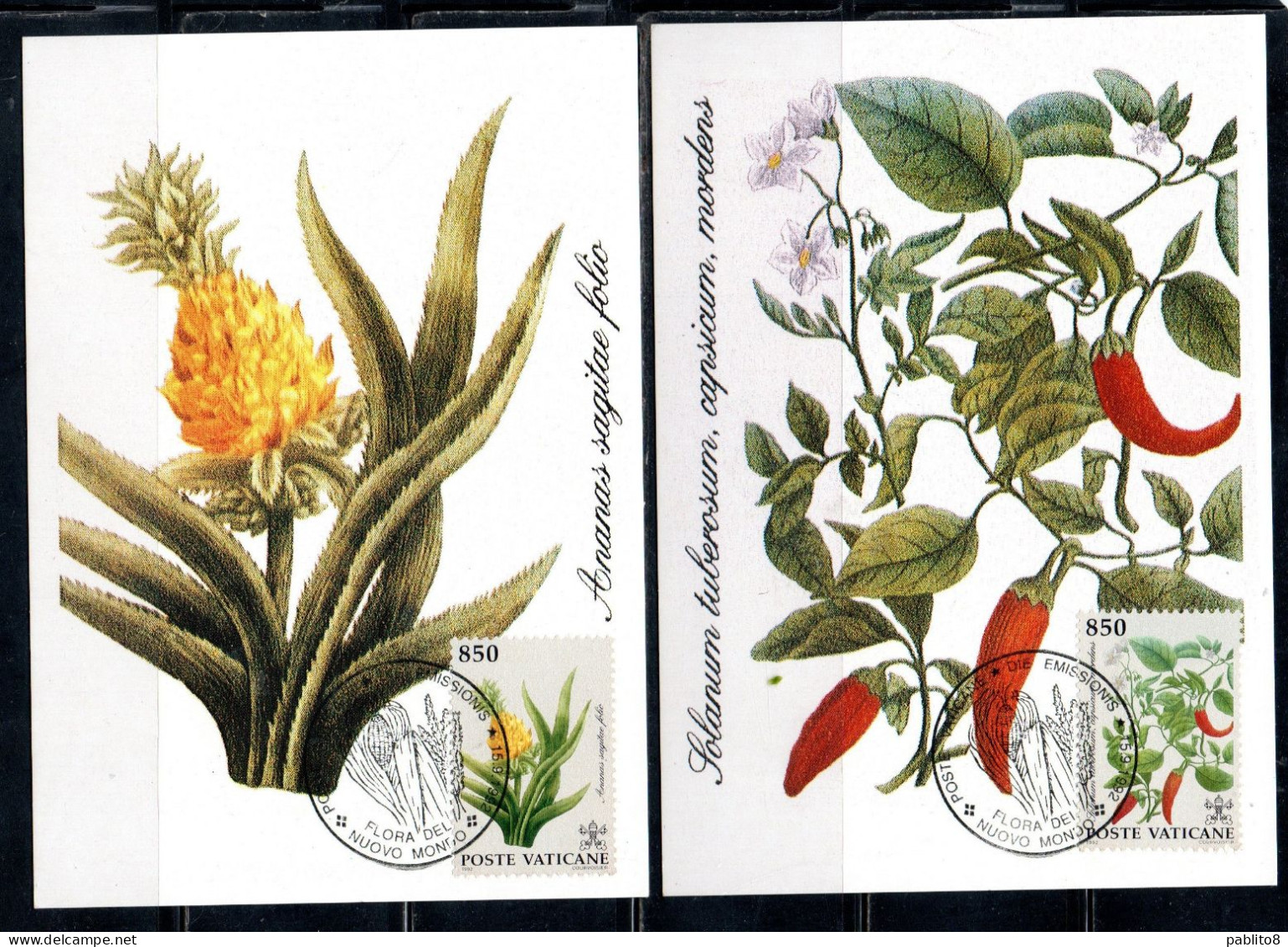 CITTÀ DEL VATICANO VATICAN VATIKAN 1992 FLORA FIORI FLOWERS DEL NUOVO MONDO SERIE COMPLETA MAXI MAXIMUM CARD CARTOLINA - FDC