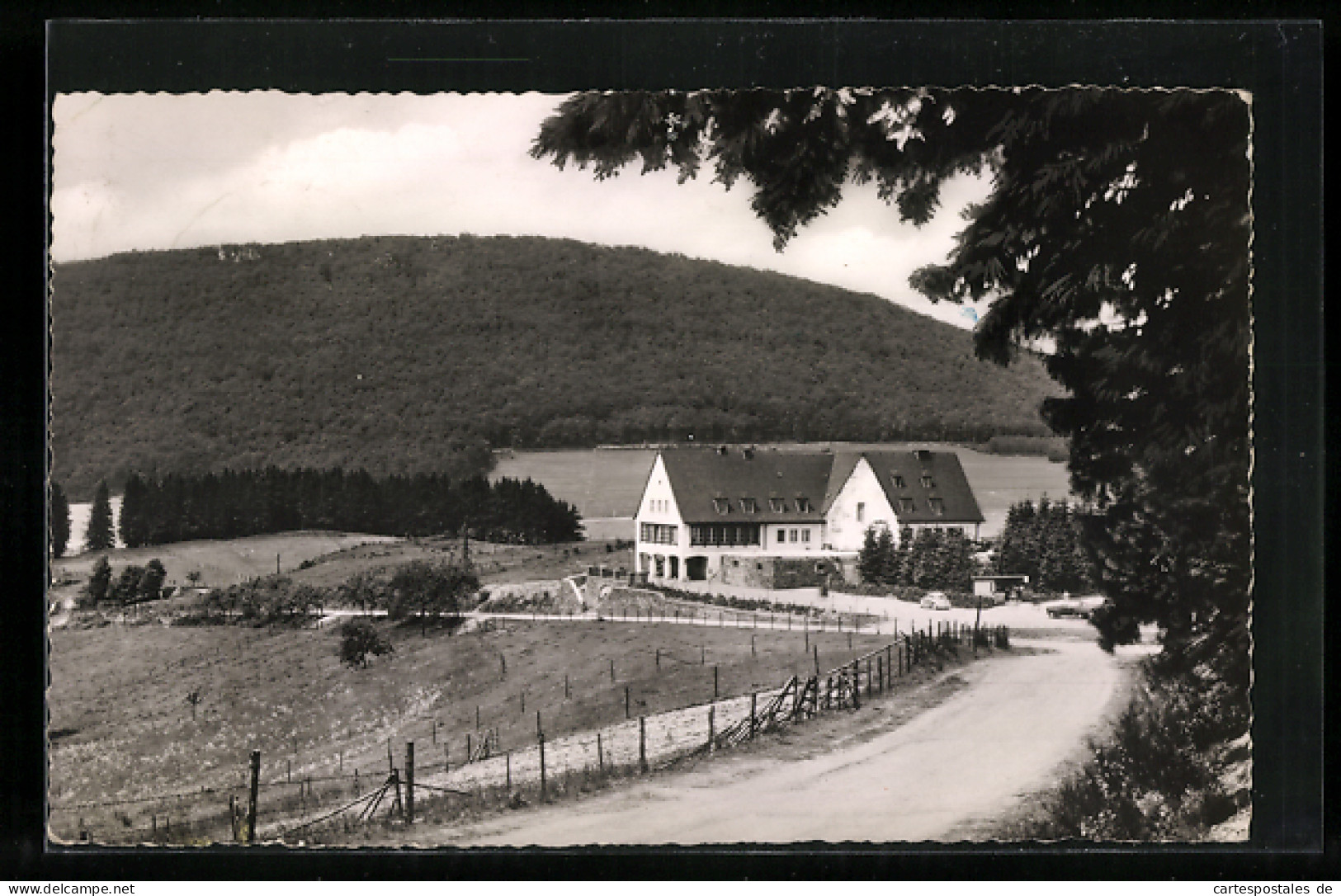 AK Grafschaft /Sauerland, Gasthaus Grafschafter Keller Mergelsberg & Manns  - Autres & Non Classés