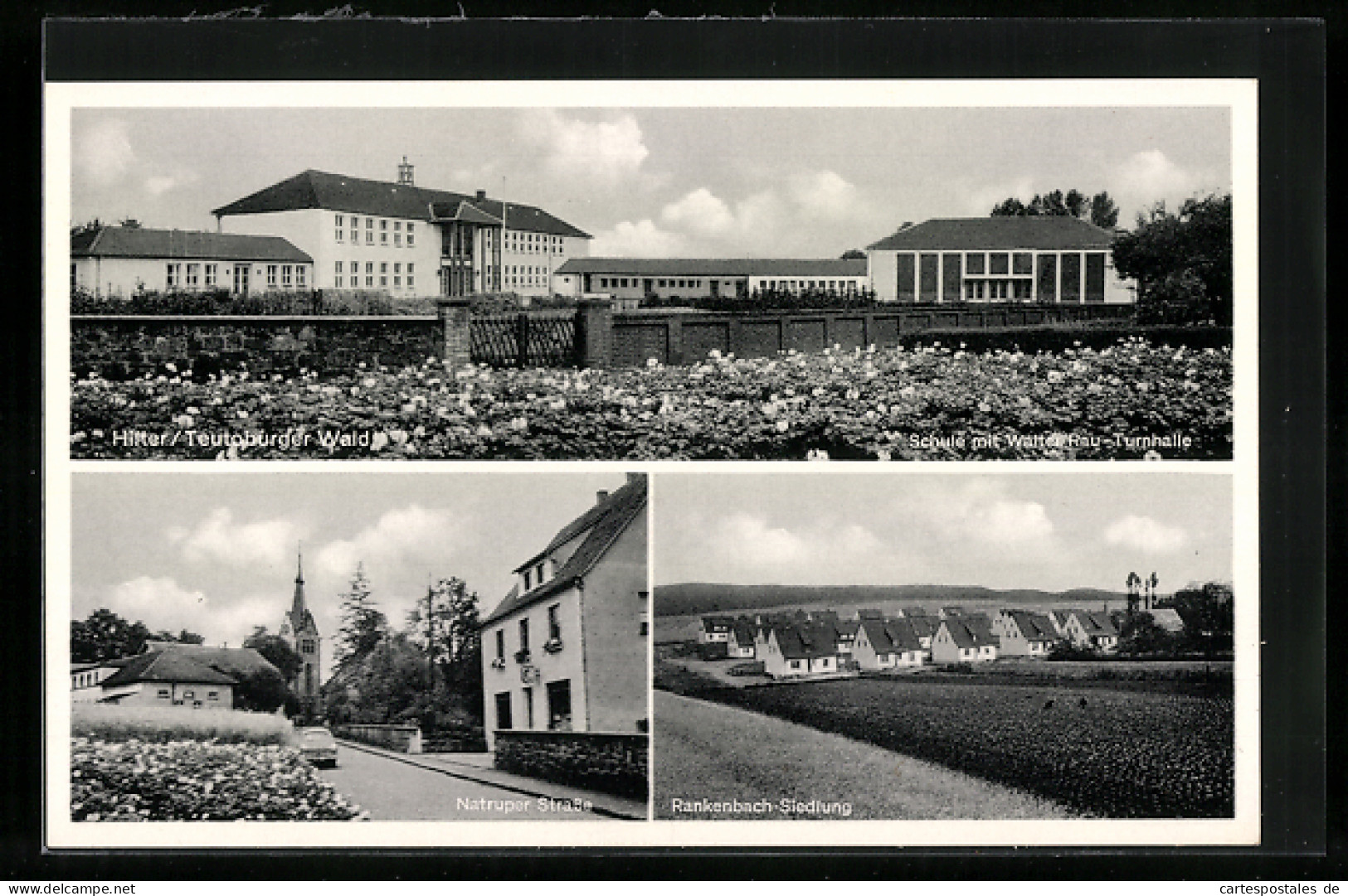 AK Hilter /Teutoburger Wald, Schule Mit Walter Rau-Turnhalle, Natruper Strasse, Rankenbach-Siedlung  - Other & Unclassified