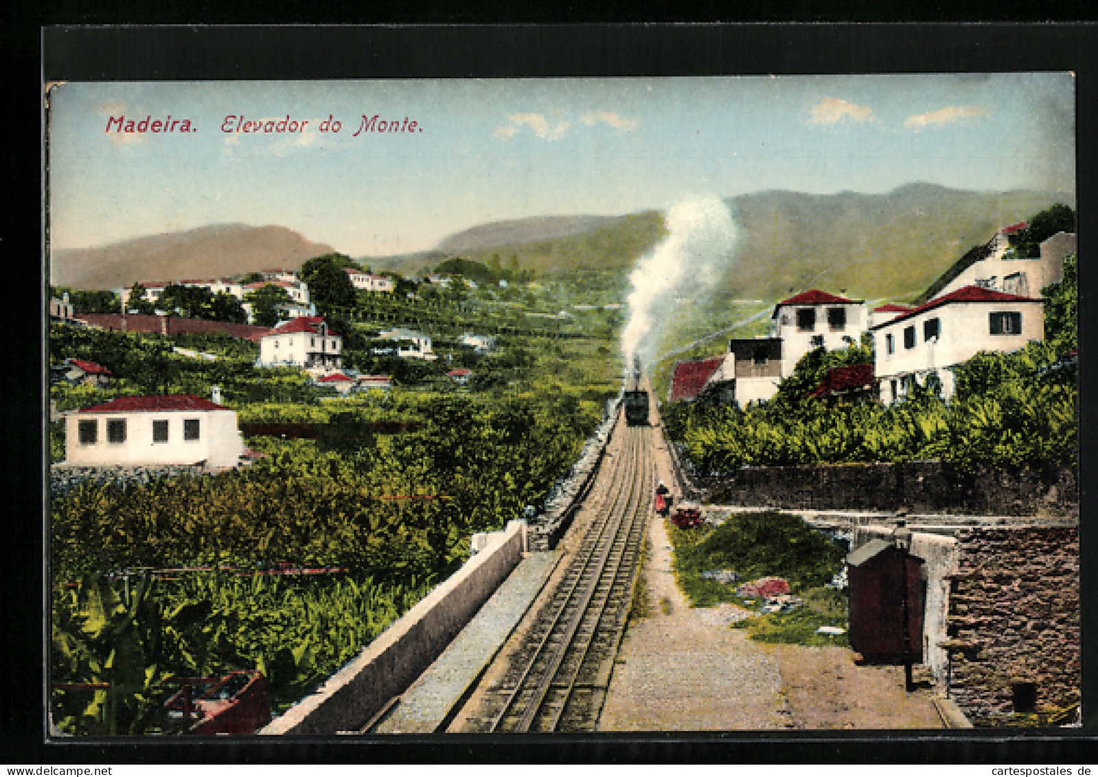 AK Madeira, Elevador Do Monte, Bergbahn  - Autres & Non Classés