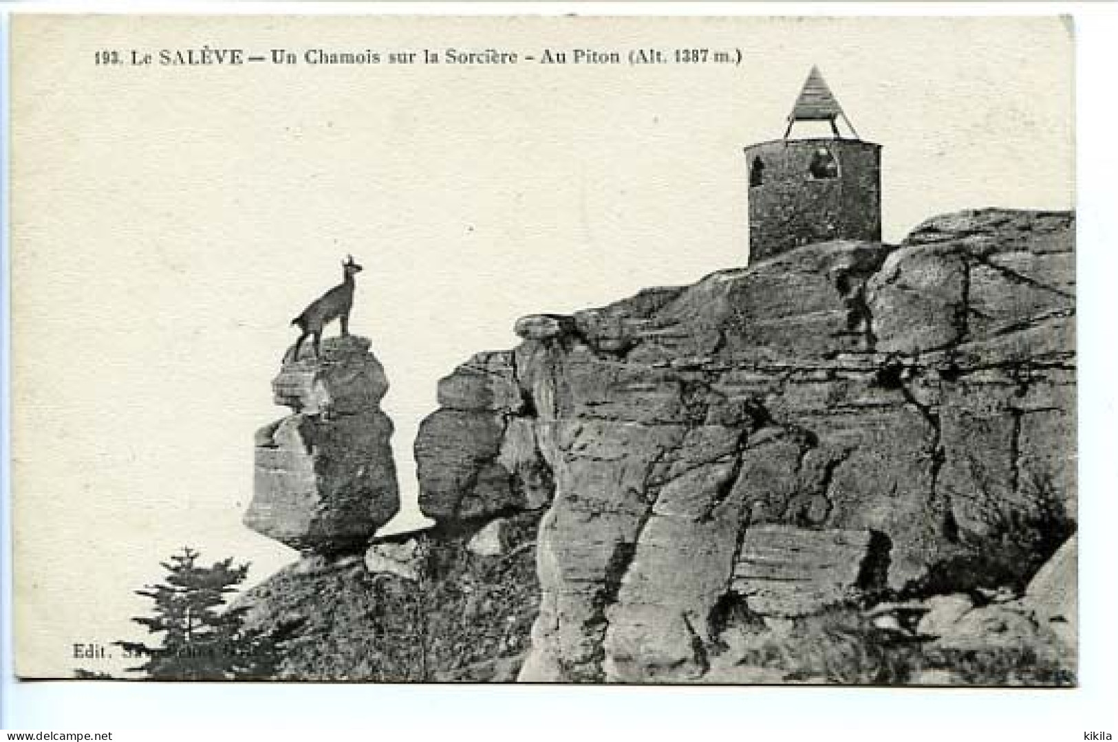 CPA 9 X 14 Haute Savoie LE SALEVE  Un Chamois Sur La Sorcière - Au Piton - Autres & Non Classés