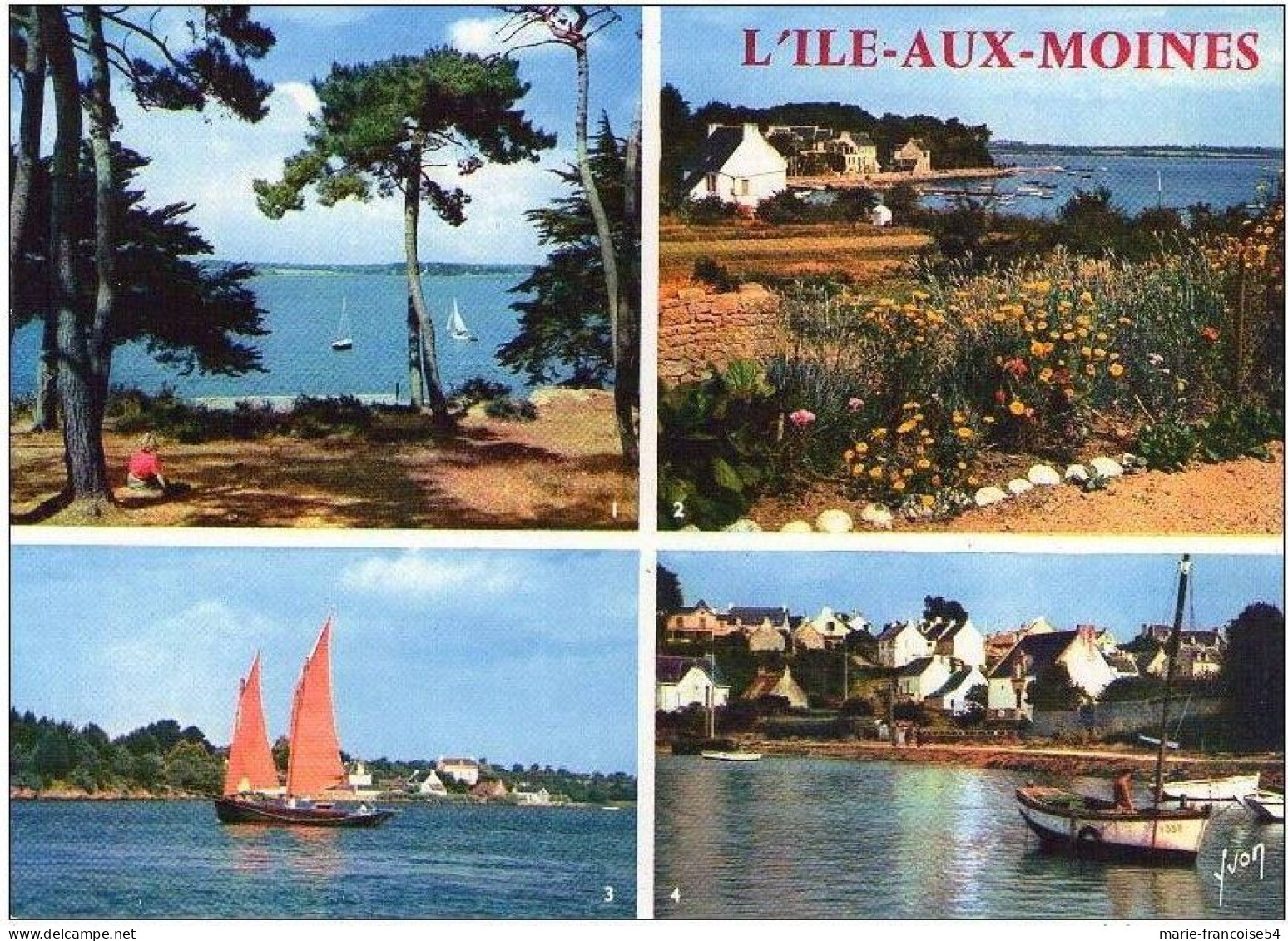 L'ILE AUX MOINES - Multivues (port, Village, Un Sinagol ,..) - Ile Aux Moines