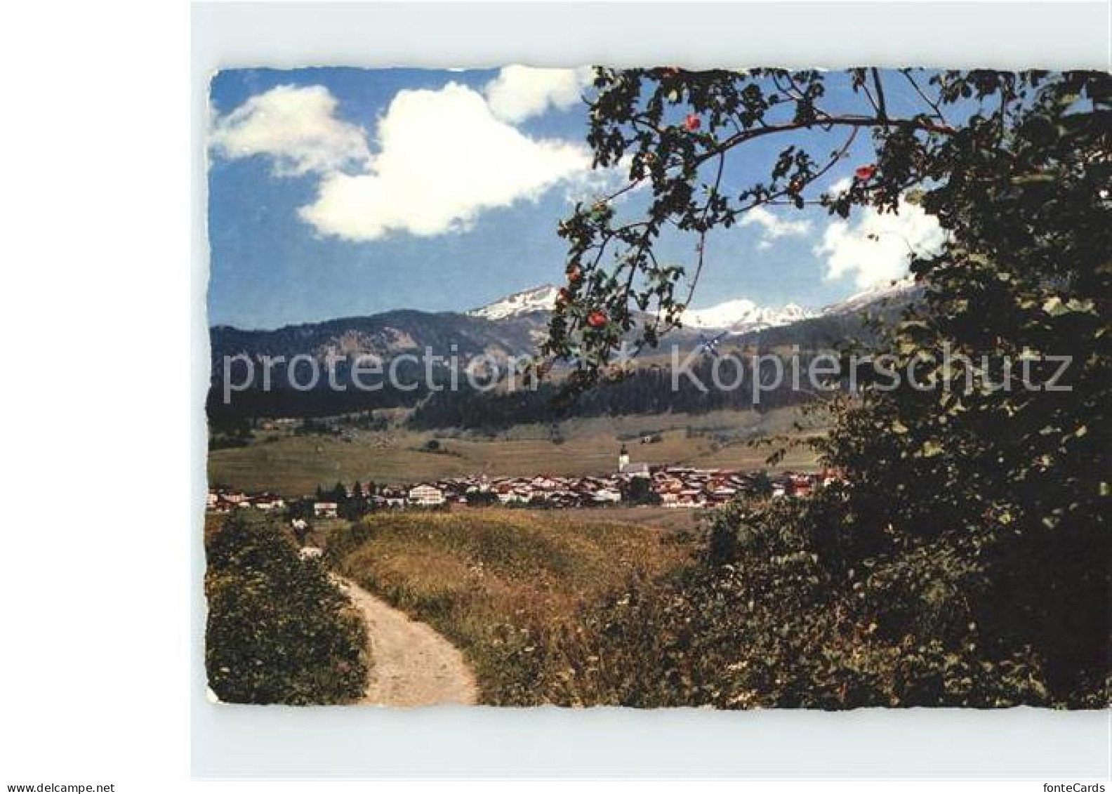 11920247 Flims Dorf Piz Grisch Flims Dorf - Altri & Non Classificati