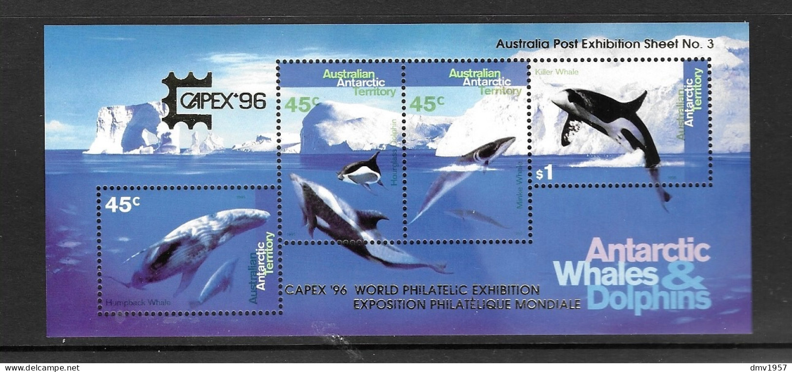 Australian Antarctic Territory 1995 MNH Whales & Dolphins MS 112 Opt Capex 96 - Ongebruikt