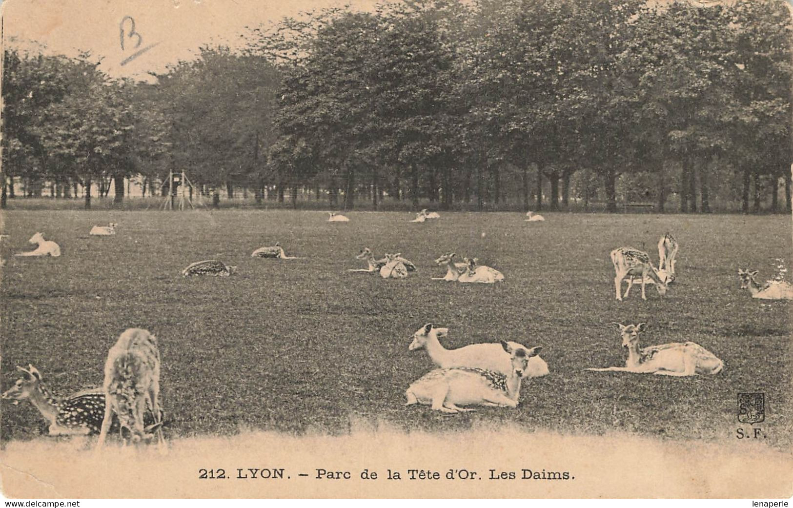 D9479 Lyon Parc De La Tête D'or Les Daims - Sonstige & Ohne Zuordnung