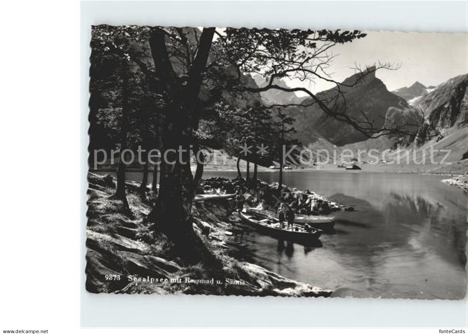 11918837 Seealpsee Rossmad Saentis Seealpsee - Andere & Zonder Classificatie