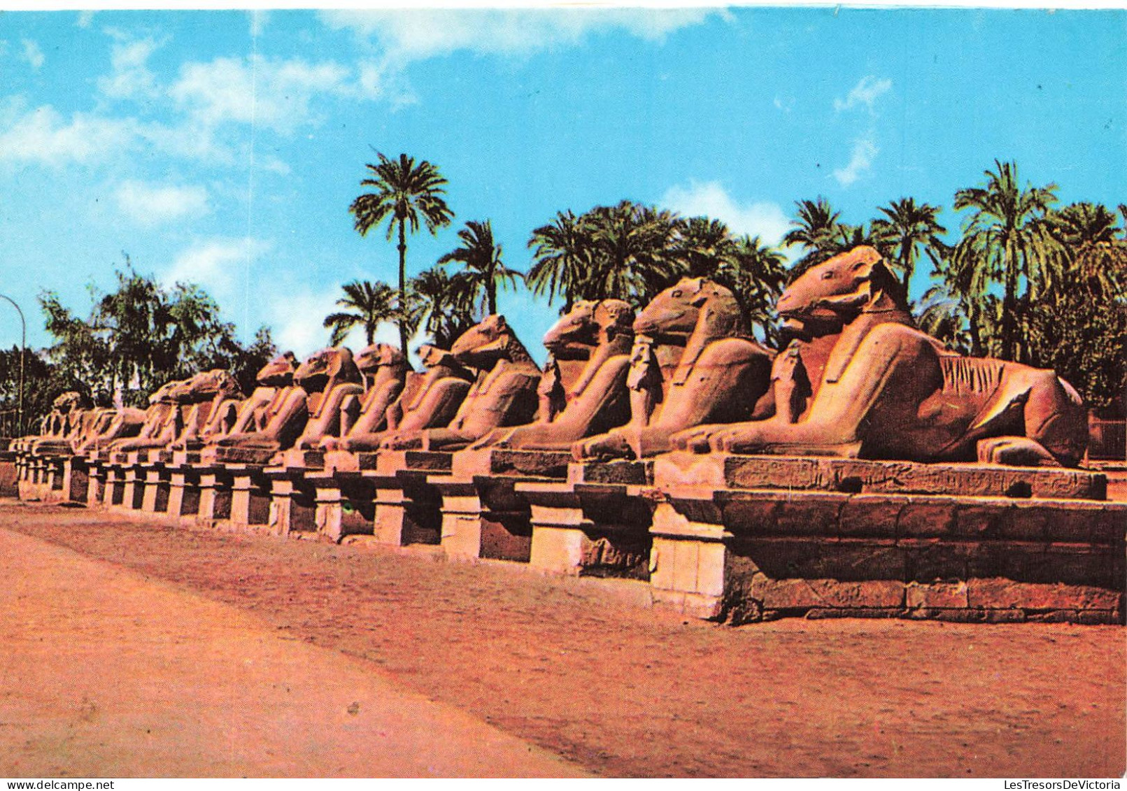 EGYPTE - Karnak - Vue Sur L'avenue Des Sphinx - Colorisé - Carte Postale - Sonstige & Ohne Zuordnung