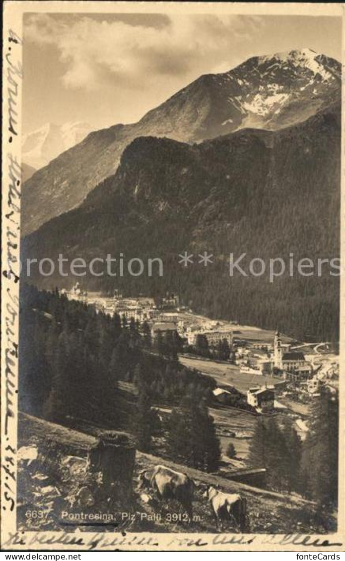 11911387 Pontresina Mit Piz Palue Pontresina - Altri & Non Classificati