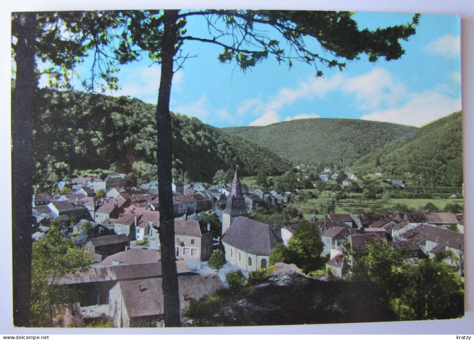 BELGIQUE - NAMUR - VRESSE-SUR-SEMOIS - ALLE - Panorama - Vresse-sur-Semois