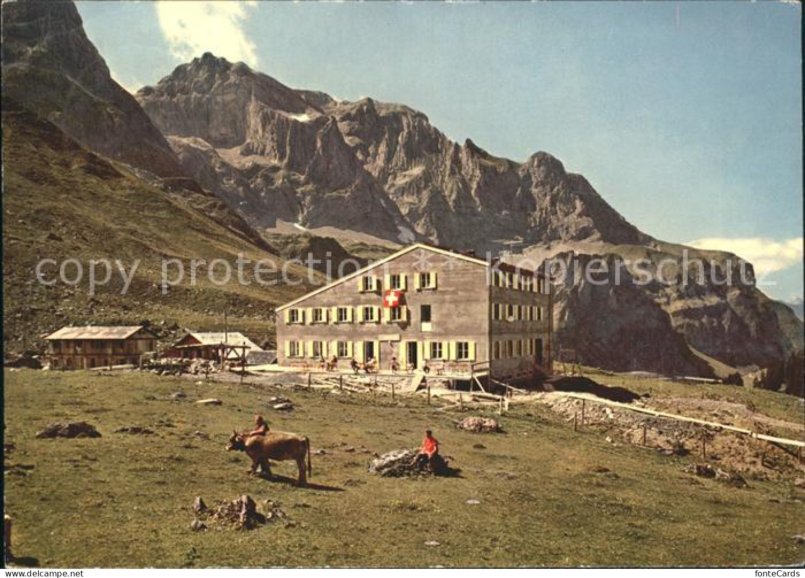 11903987 Oberrickenbach Berghaus Urnerstaffel Bannalp Oberrickenbach - Autres & Non Classés