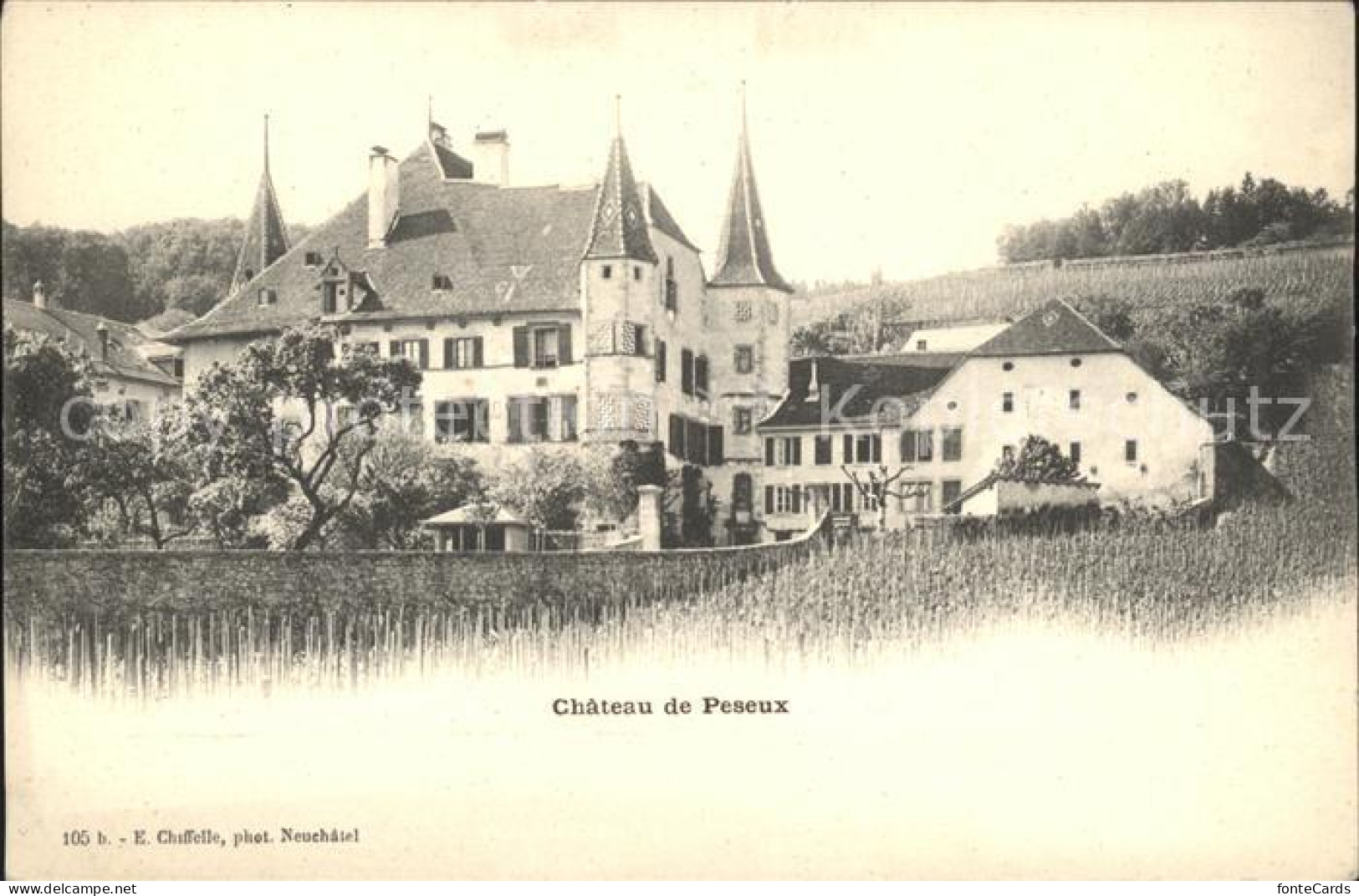 11902497 Peseux NE Chateau De Peseux Peseux - Autres & Non Classés