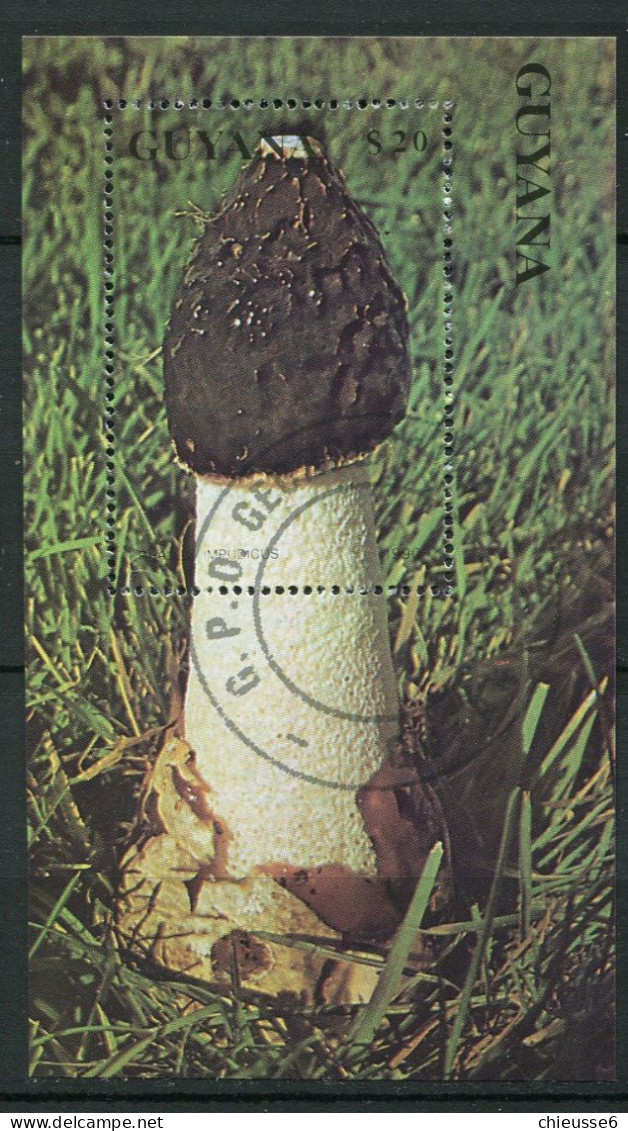 Guyane Ob.  Bloc 58 - Champignons - Guyane (1966-...)