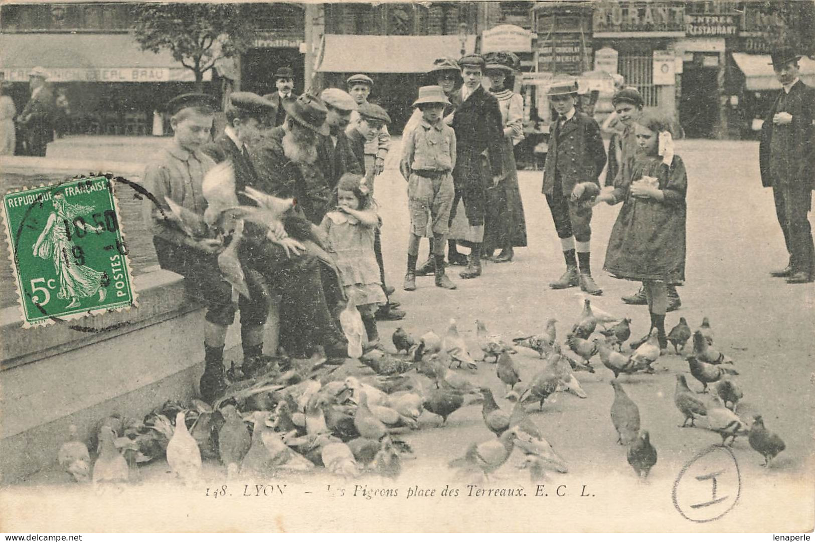 D9493 Lyon Les Pigeons Place Des Terreaux - Otros & Sin Clasificación