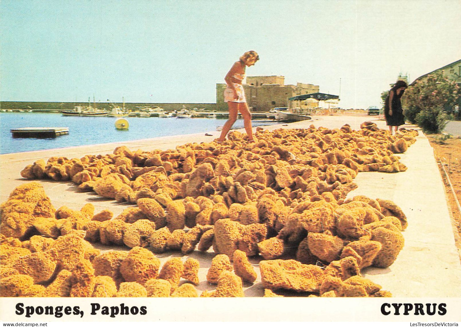 CHYPRE - Sponges Paphos - Animé - Colorisé - Carte Postale - Chipre