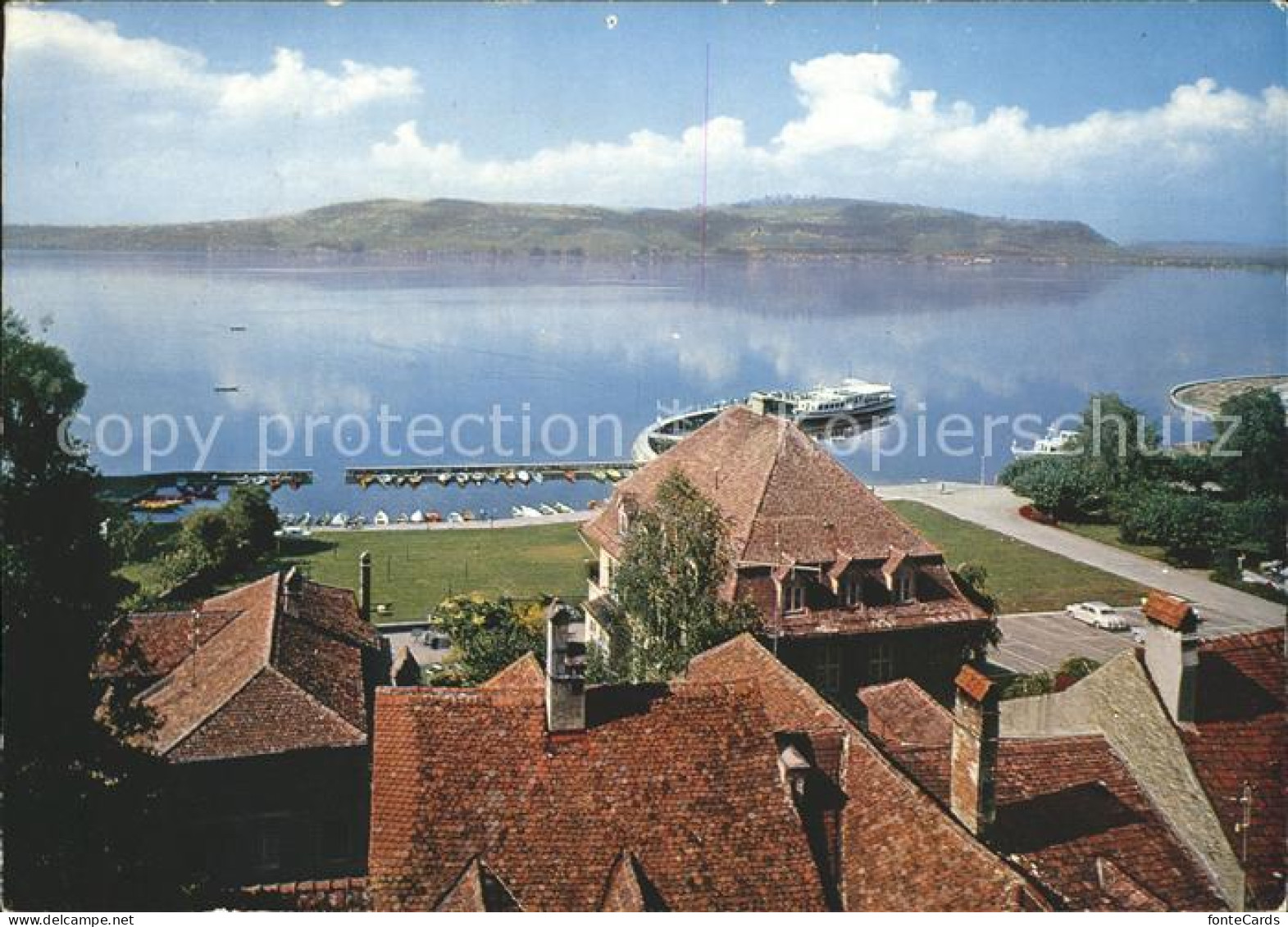 11896507 Morat Murten Panorama Murten - Other & Unclassified