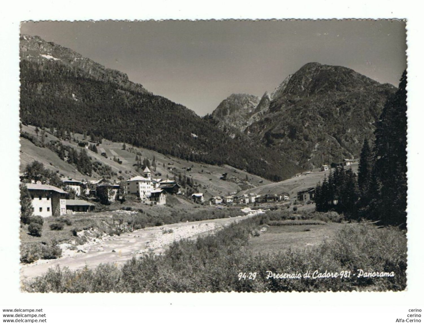 PRESENAIO  DI  CADORE:  PANORAMA  -  FOTO  -  FG - Belluno