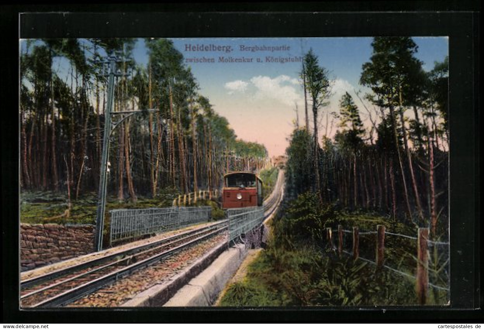 AK Heidelberg, Bergbahnpartie Zwischen Molkenkur U. Königstuhl  - Autres & Non Classés