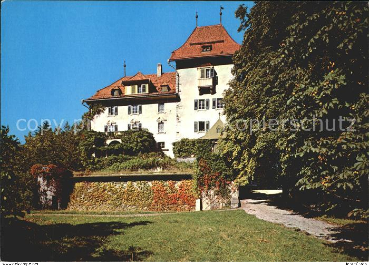 11889607 Masein Hotel Schloss Tagstein Masein - Autres & Non Classés