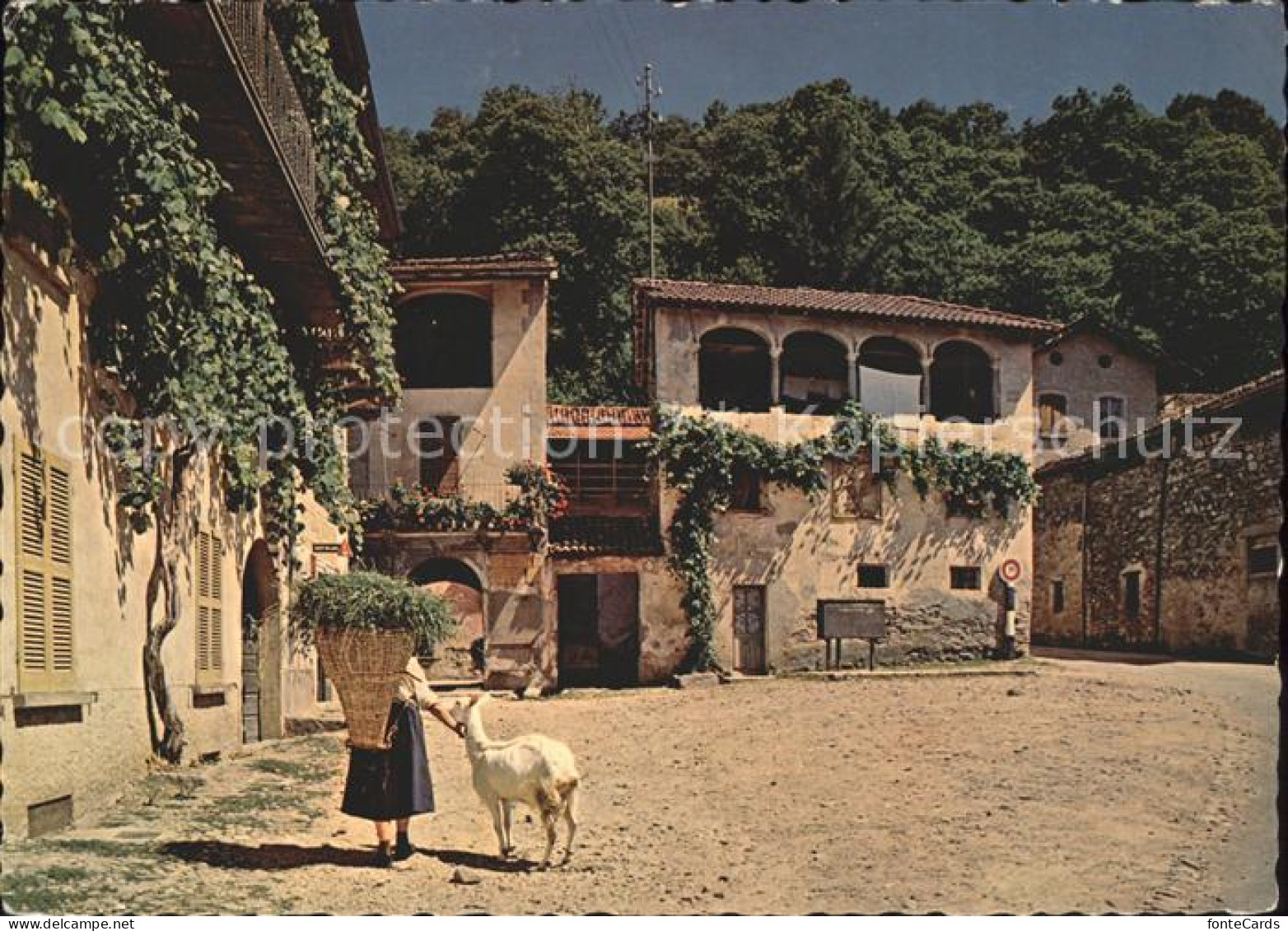 11886417 Sessa Motivo Rustico Malcantone Sessa - Other & Unclassified