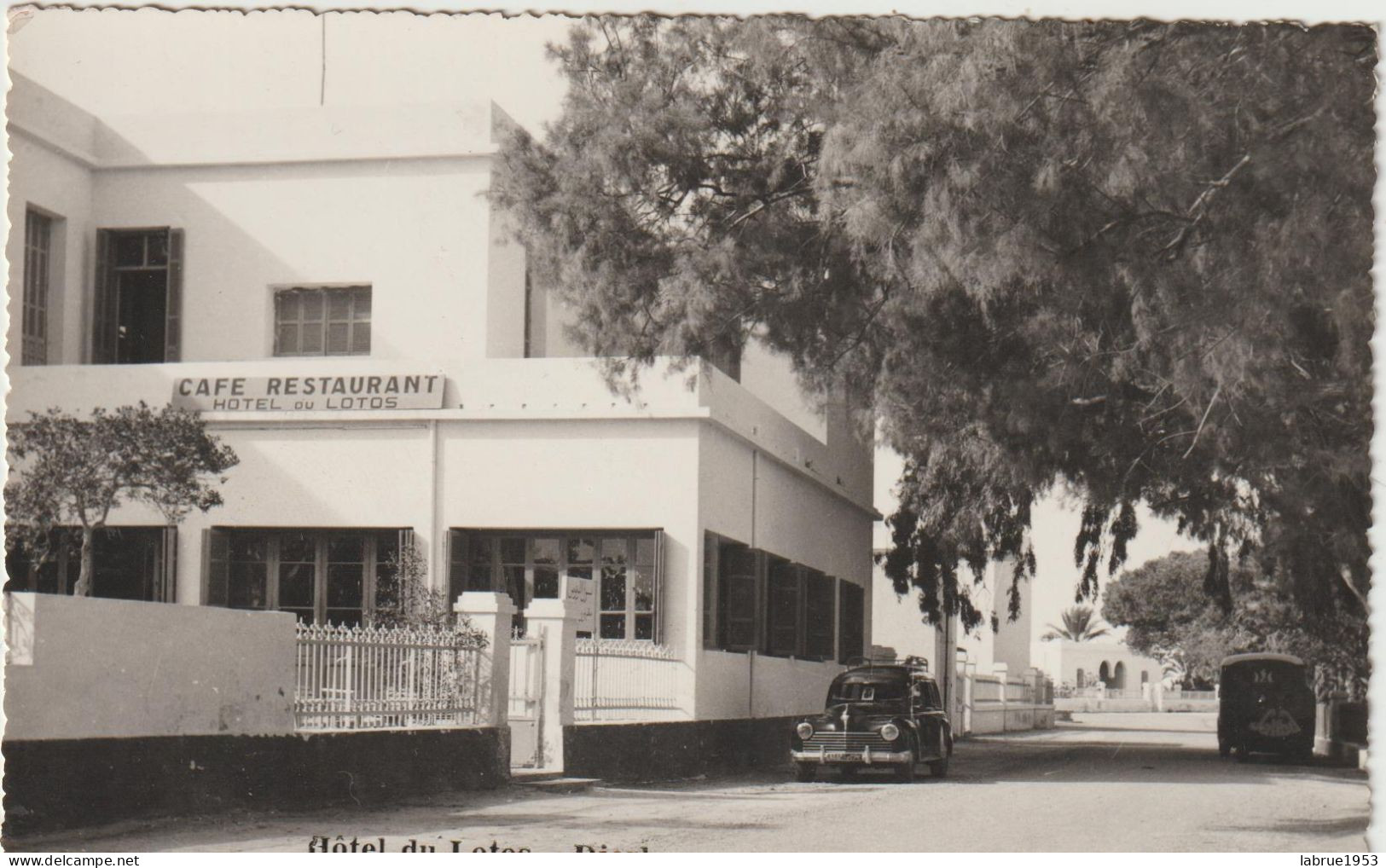 Hôtel Du Lotos Djerba - Peugeot 203   ( G.2733) - Tunesië