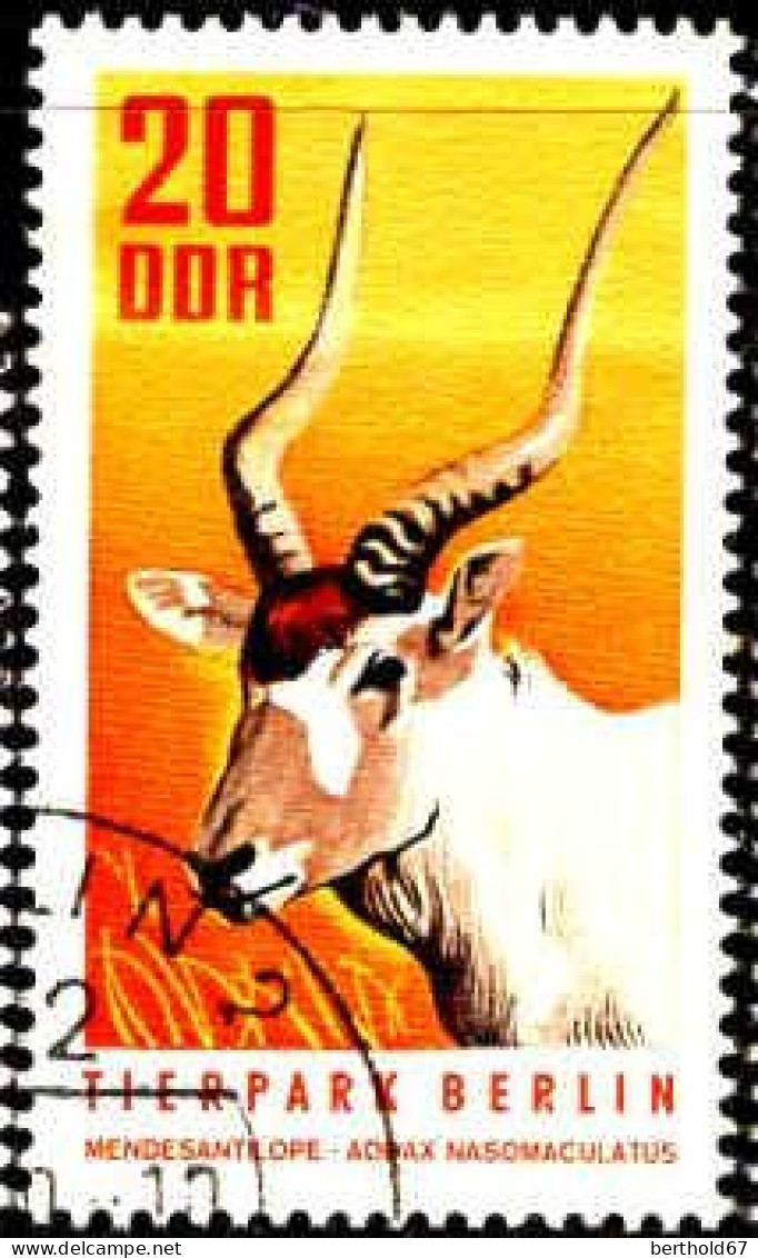 Rda Poste Obl Yv:1310 Mi:1619 Mendesantilope Addax Nasomaculatus (Beau Cachet Rond) - Usati