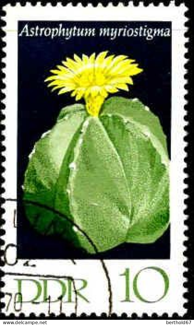 Rda Poste Obl Yv:1317 Mi:1626 Astrophytum Myriostigma (Beau Cachet Rond) - Used Stamps