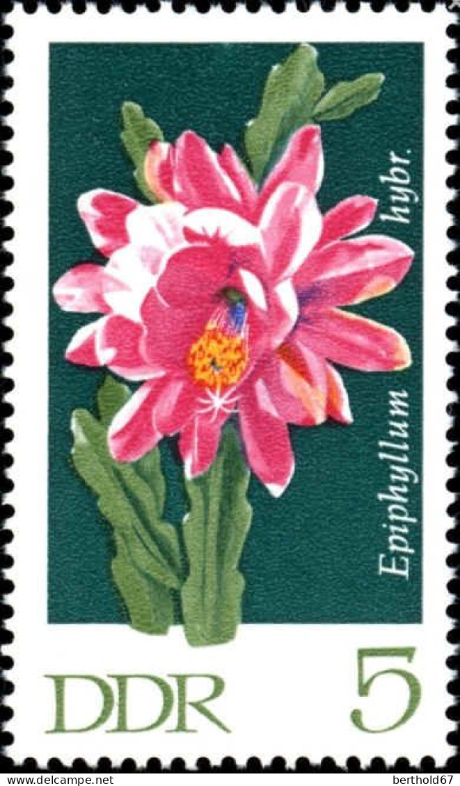 Rda Poste Obl Yv:1316 Mi:1625 Epiphyllum Hybr (TB Cachet Rond) - Used Stamps