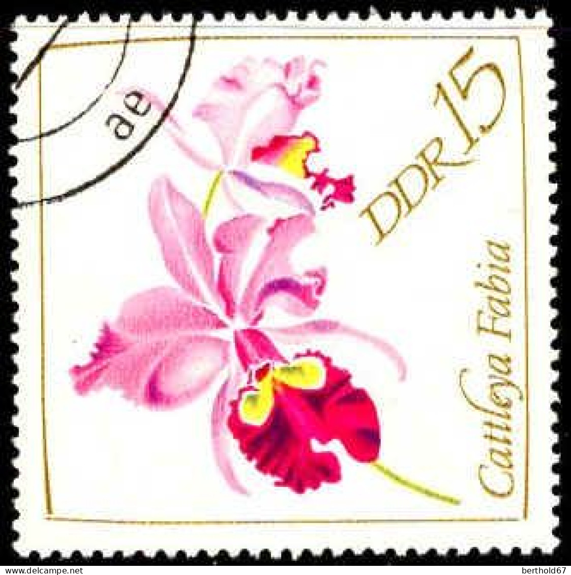 Rda Poste Obl Yv:1118 Mi:1422 Cattleya Fabia (Beau Cachet Rond) - Used Stamps