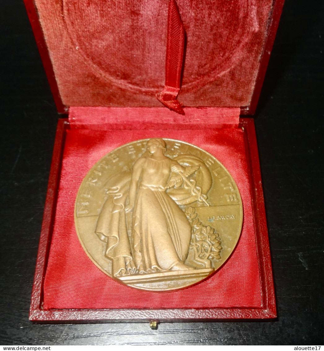 MEDAILLE BRONZE MERITE ET FIDELITÈ - Altri & Non Classificati