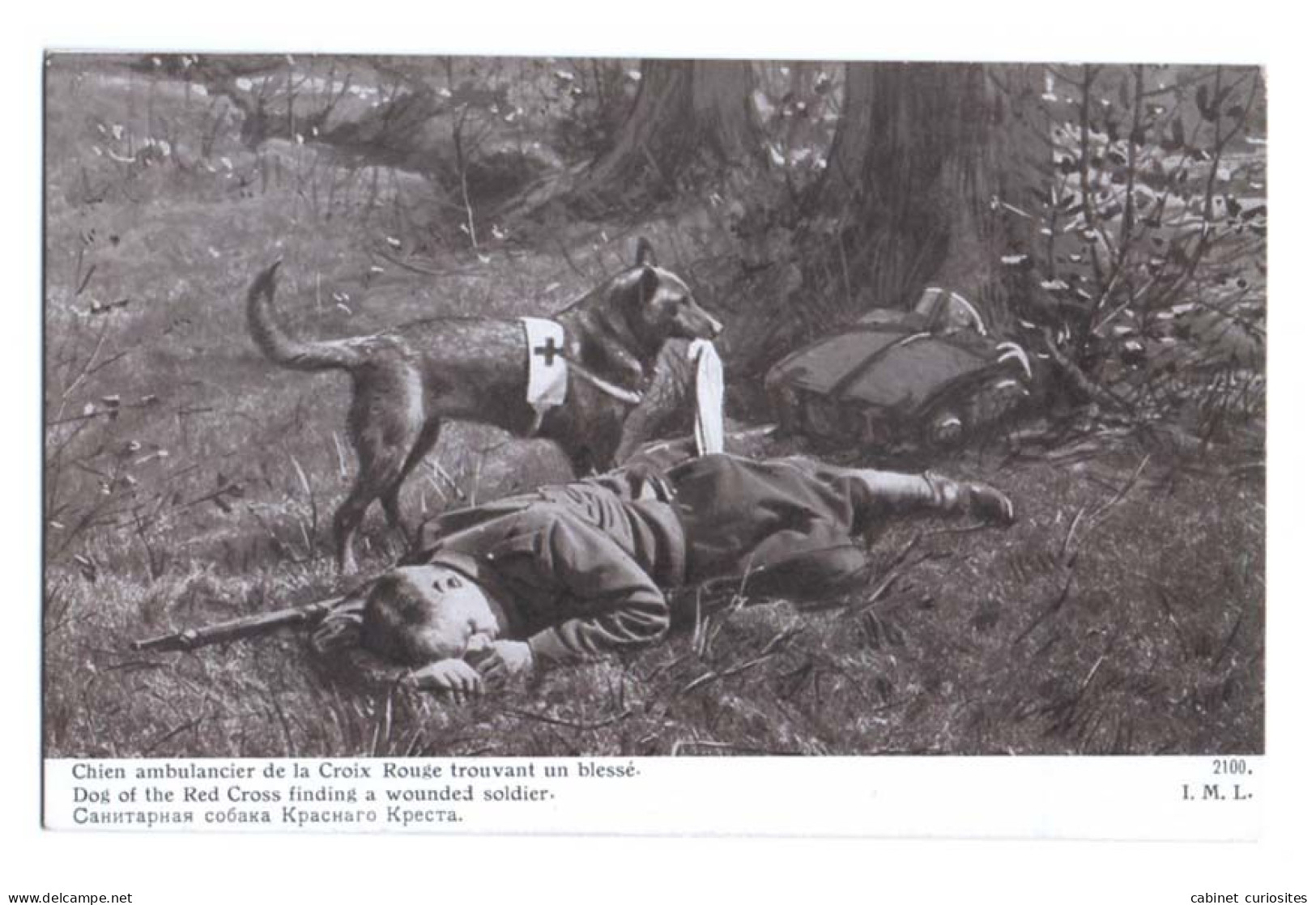 Chien Ambulancier De La Croix-Rouge Trouvant Un Blessé - Carte Postale écrite En 1915 - Guerre 14-18 - WWI - Guerra 1914-18