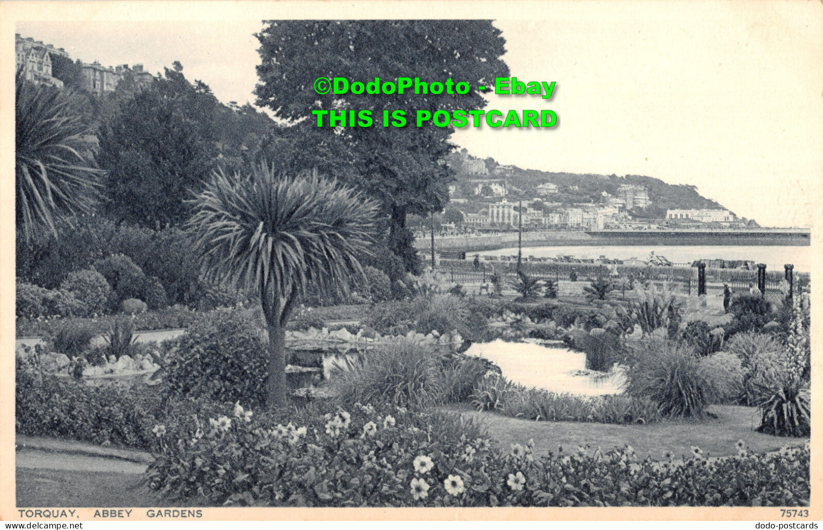 R417173 Torquay. Abbey Gardens. Photochrom. Patent Application. 349. 36 - World