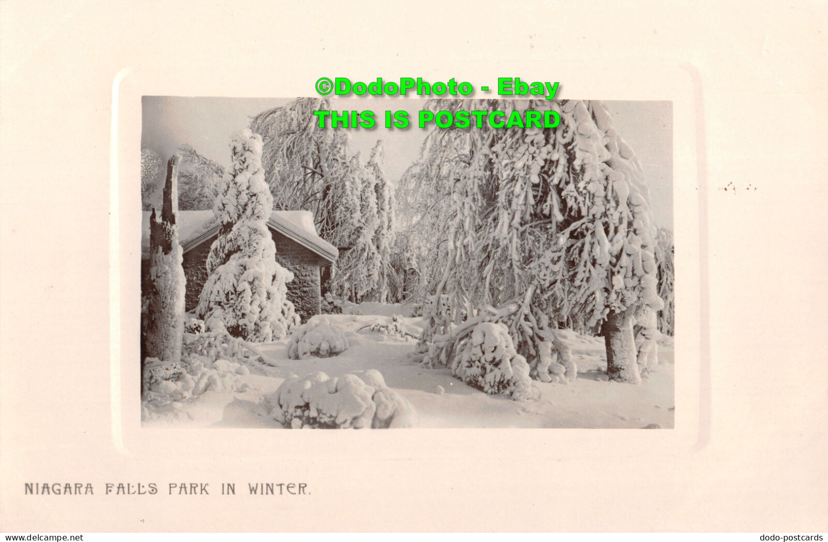 R417585 Niagara Falls Park In Winter. H. G. L - Wereld